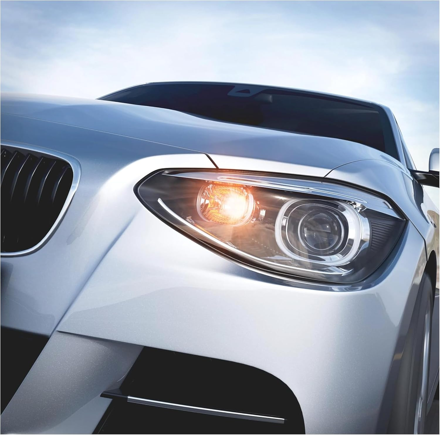 OSRAM 2827DC-02B Diadem CHROME WY5W Halogen Signal Lamp, Turn Indicator Light, 12 V Passenger Car, Double Blister, Set of 2 image number 1