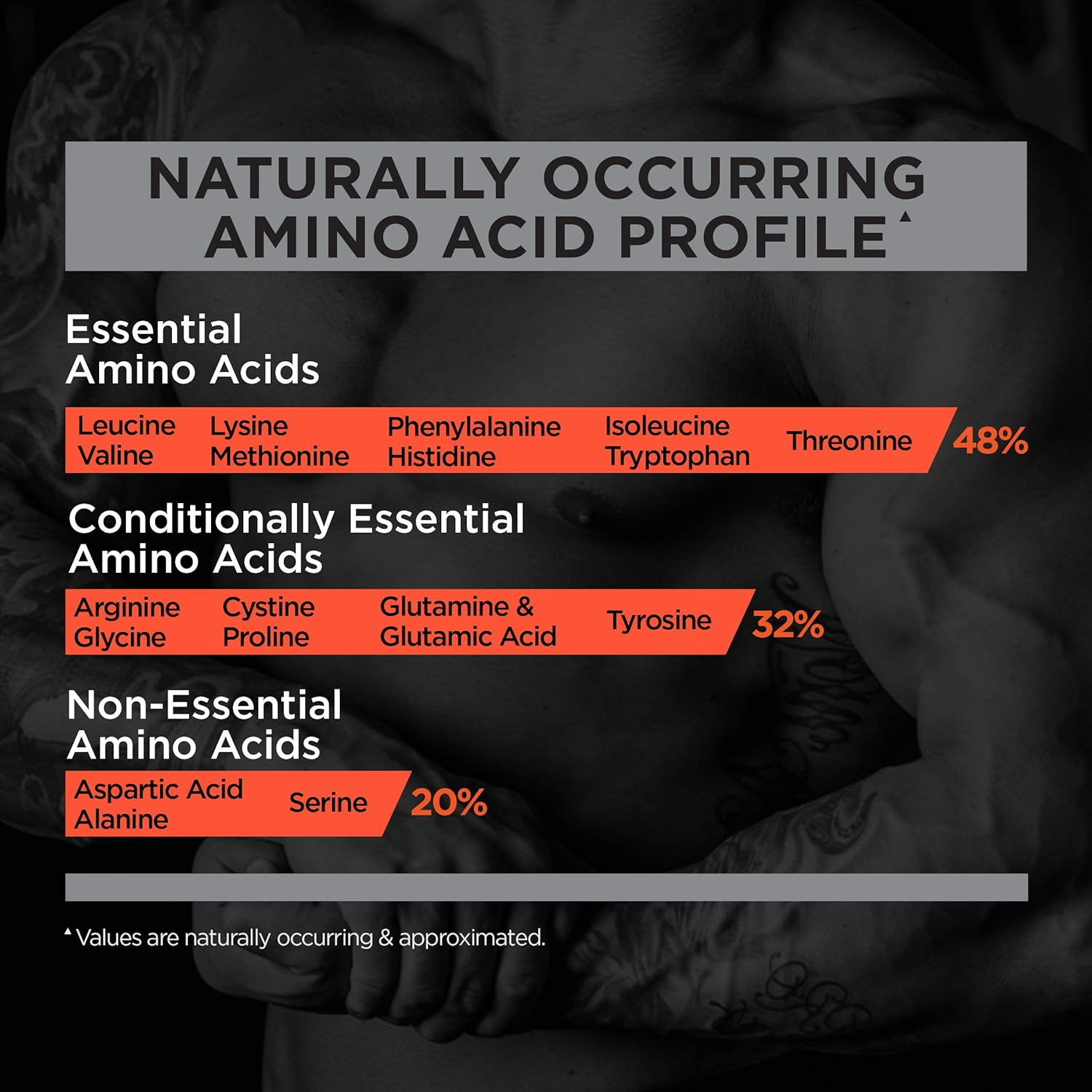 Rule1 R1 Protein 76 Servings, Chocolate Fudge, 2.5 Kilograms