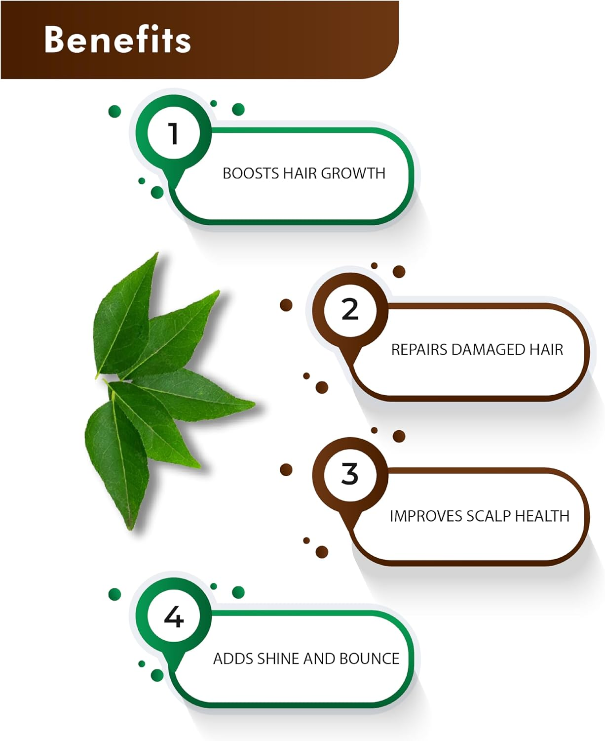 H & C Curry Leaves Powder- 227G (0.5 Lb) for Hair Care Formulation- Known to Hair Growth Benefits image number 1