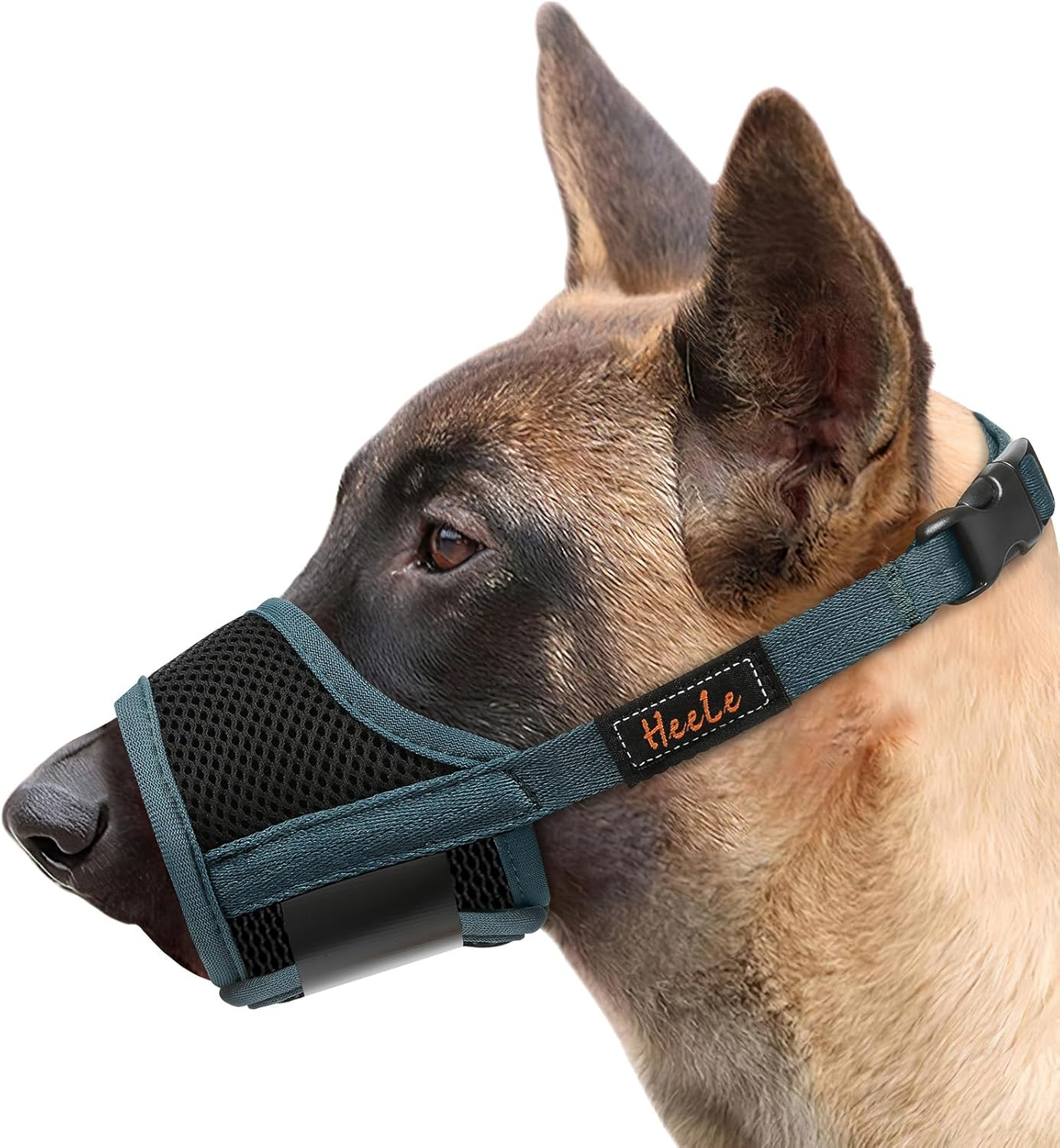 HEELE Dog Muzzle Breathable Mesh and Durable Nylon Dog Muzzle with Adjustable Loop and Soft Pad Dog Training Muzzle Prevent for Barking Biting Chewing (Green, XL) image number 6