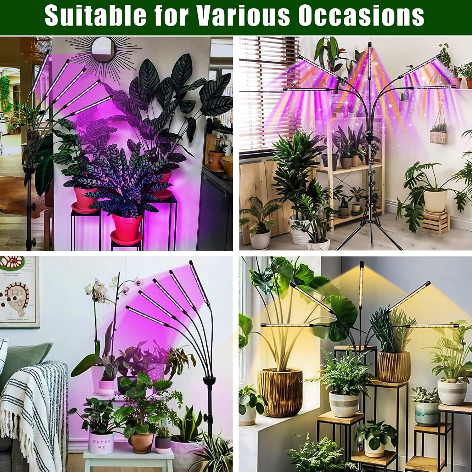 Grow Lights for Indoor Plants, LED Grow Light Stand, Red White Full Spectrum Plant Lamp with Adjustable Tripod, Gooseneck, Suitable for Flowers Vegetables image number 3