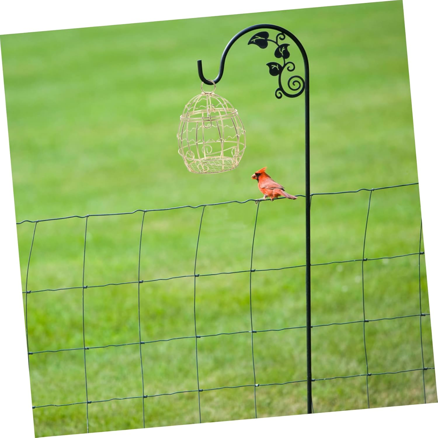 OFFSCH 12Pcs Hanging Suet Balls Holder Iron Wire Bird Feeder for Outdoor Use Durable Suet Feeder for Wild Birds for Garden and Backyard Feeding Stations image number 5