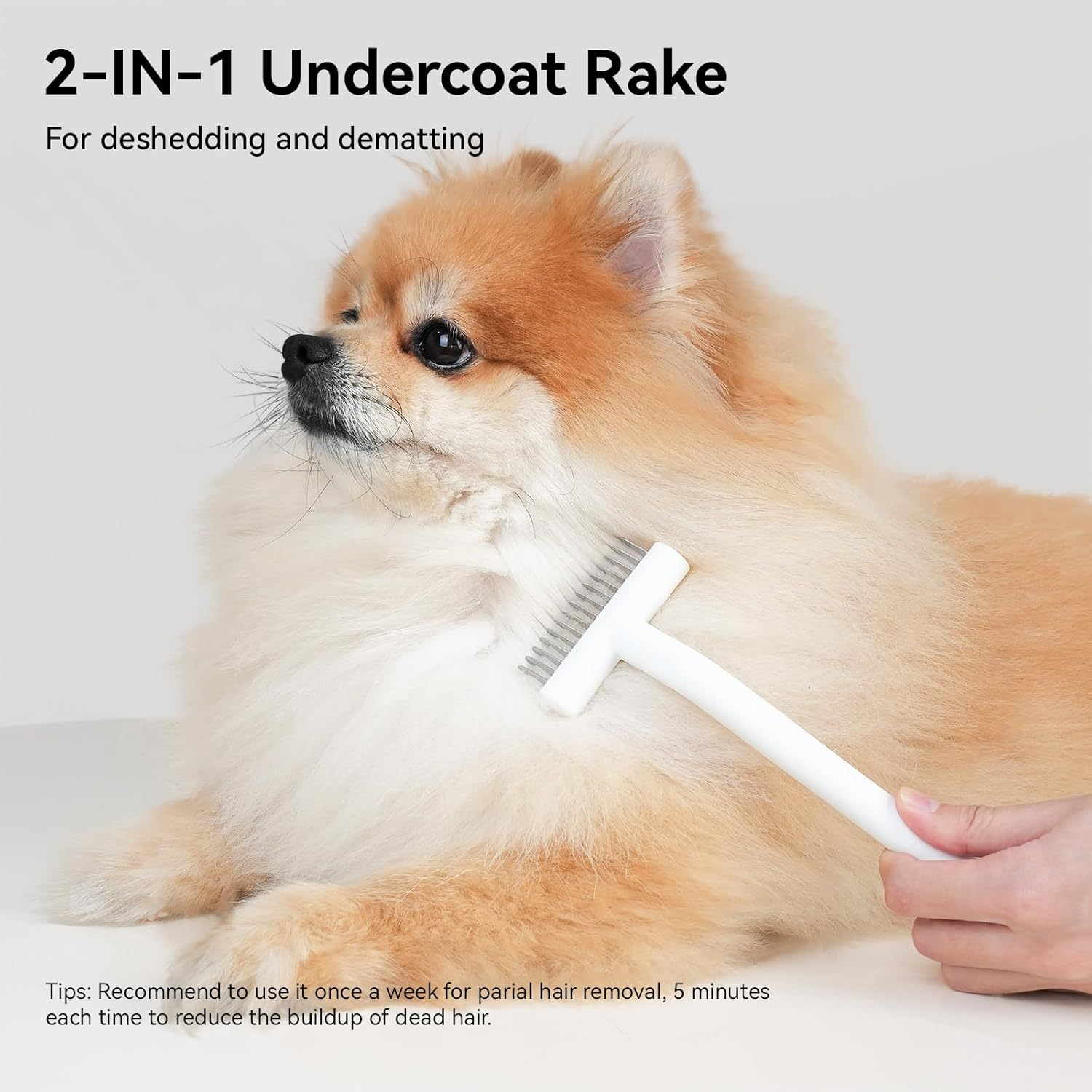 Aumuca Cat Grooming Brush for Long Hair Cats, Cat Deshedding Comb for Pet, Undercoat Rake and Dematting Brush Remove Loose and Matted Fur, Flying Hair Removing Tools for Puppy, White image number 1