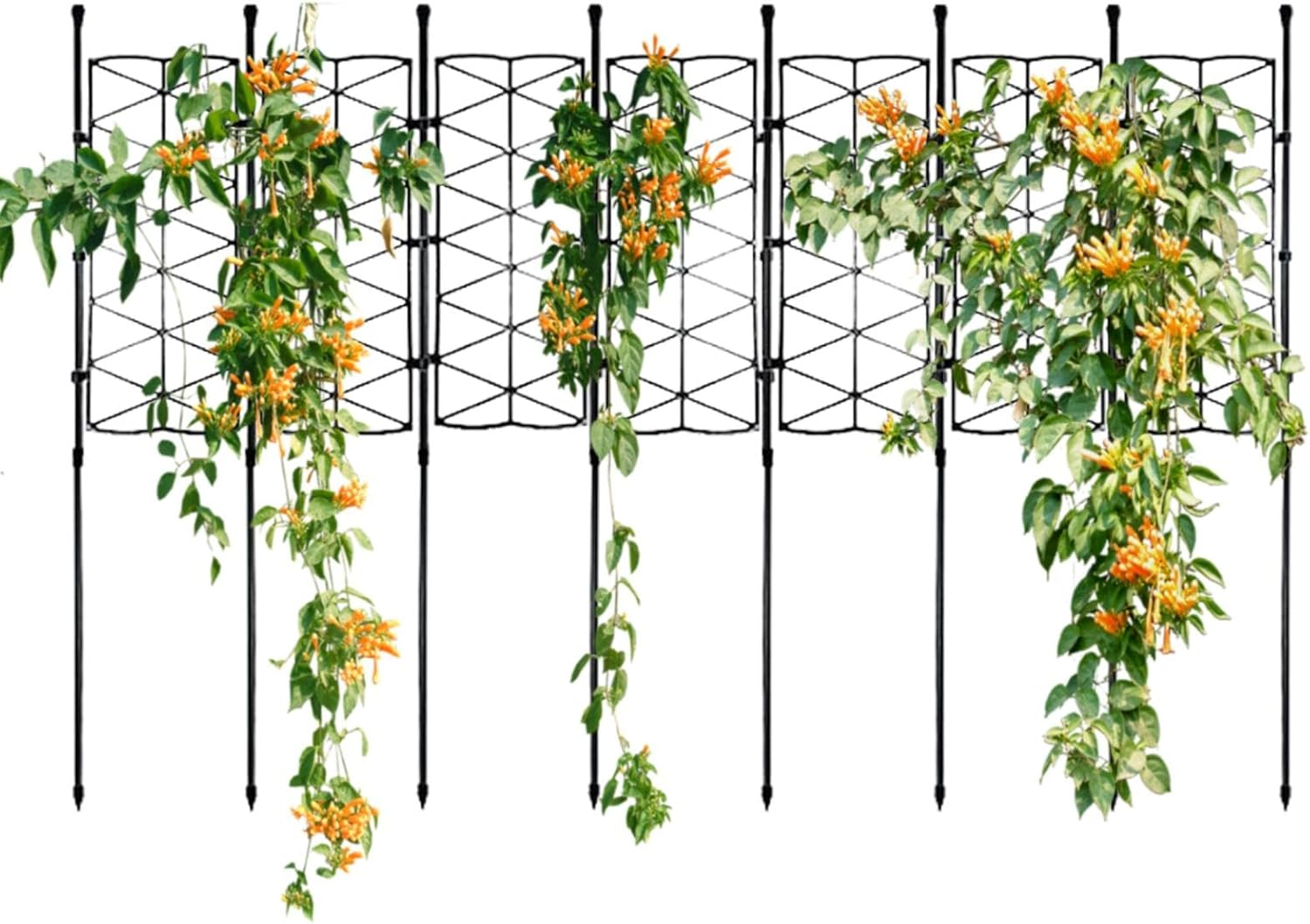Indoor Plant Trellis,Lattice Frame Stake for Houseplant Support - Garden Climbing Plant Support Stand for Clematis, Sweet Peas, Roses, Morning Glories image number 5