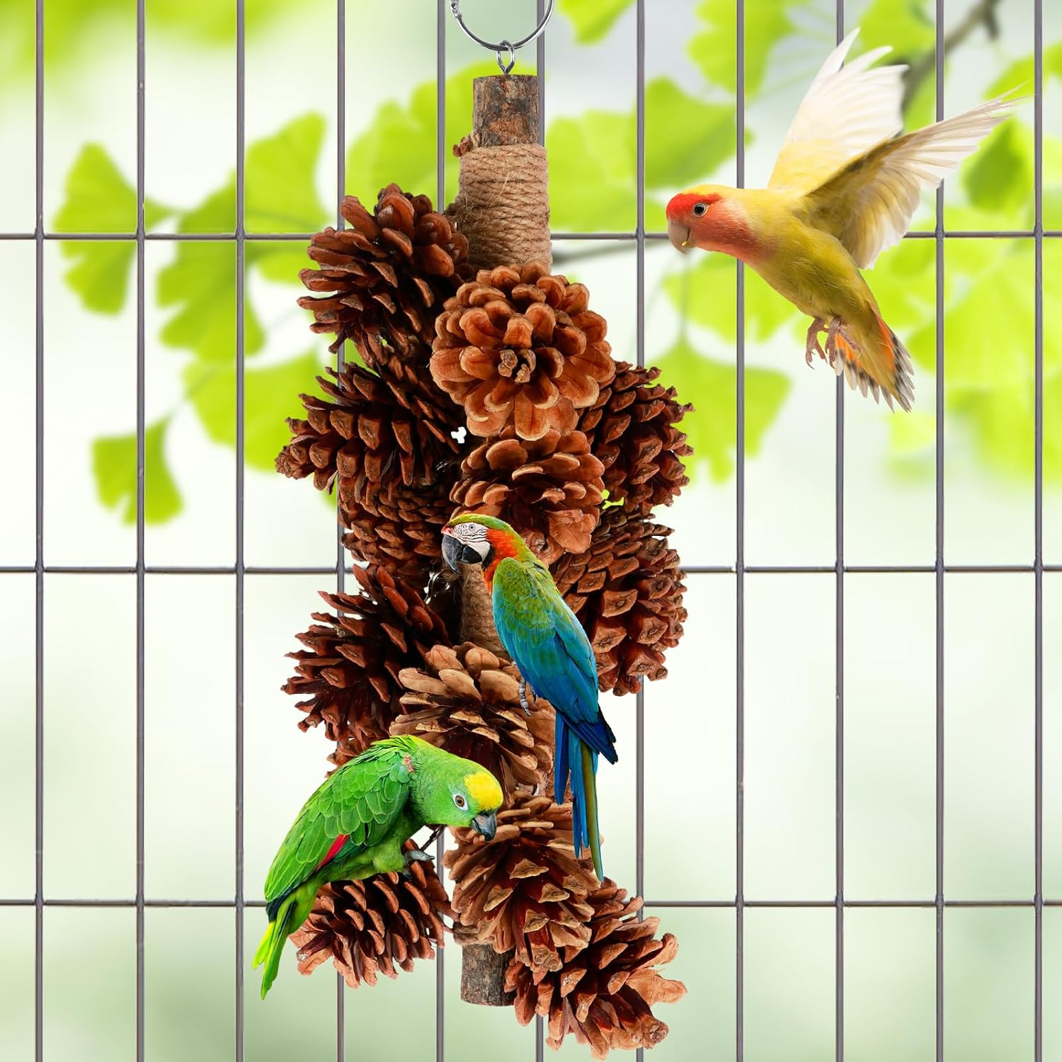 Parrot Chewing Toy with 18 Pine Cones Natural Wooden Parrot Toys Hangable Bird Parrot Chewing Toy Wooden Bird Chewing Toy Suitable for Cockatiels, Conures, Finches, Parrots, Macaws, Parrots image number 1