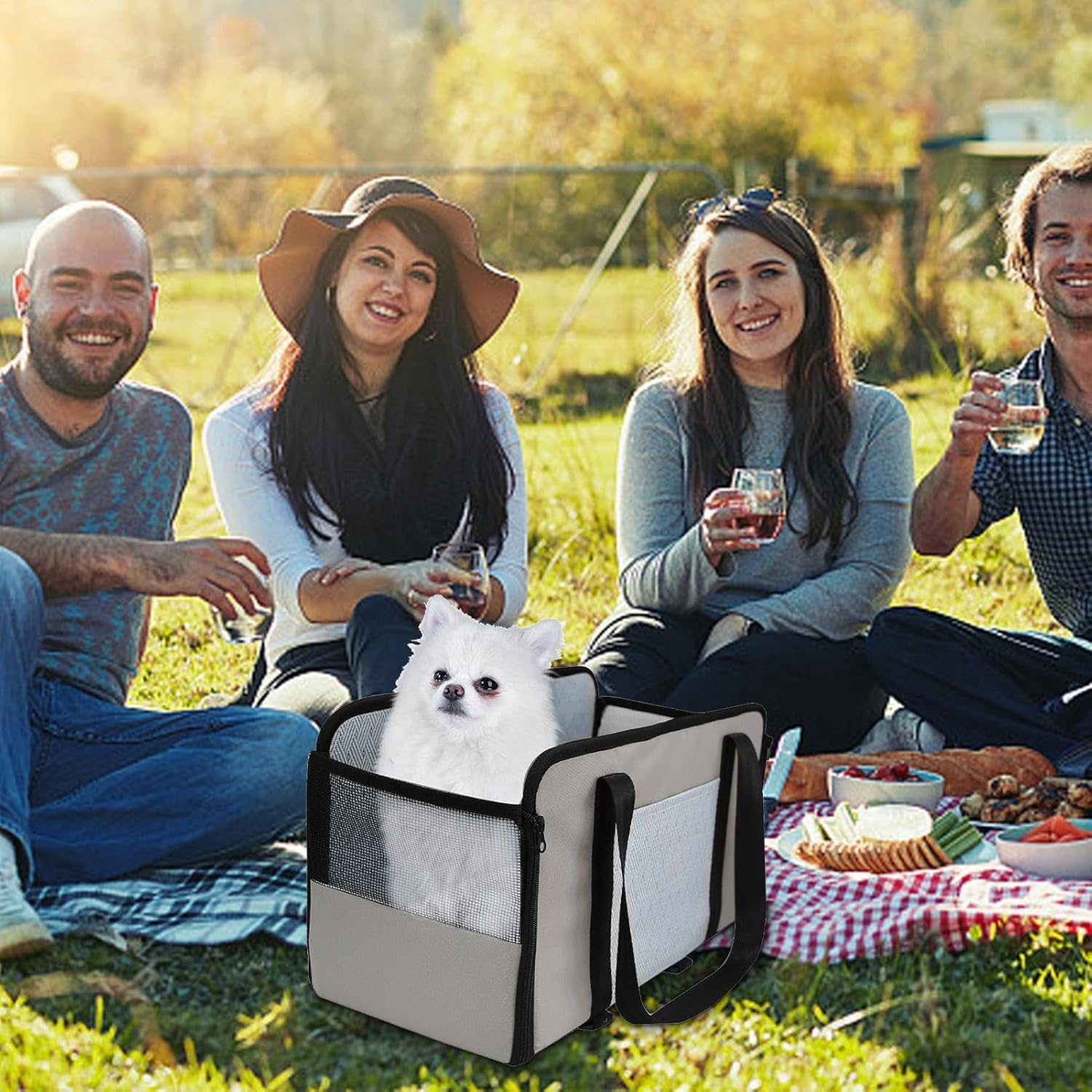 Center Console Dog Seat, Dog Booster Seat, Pet Car Seat, Travel Car Carrier with Safety Tethers, Booster Seat Car Armrest for Puppy Cat Small Medium Pets image number 1