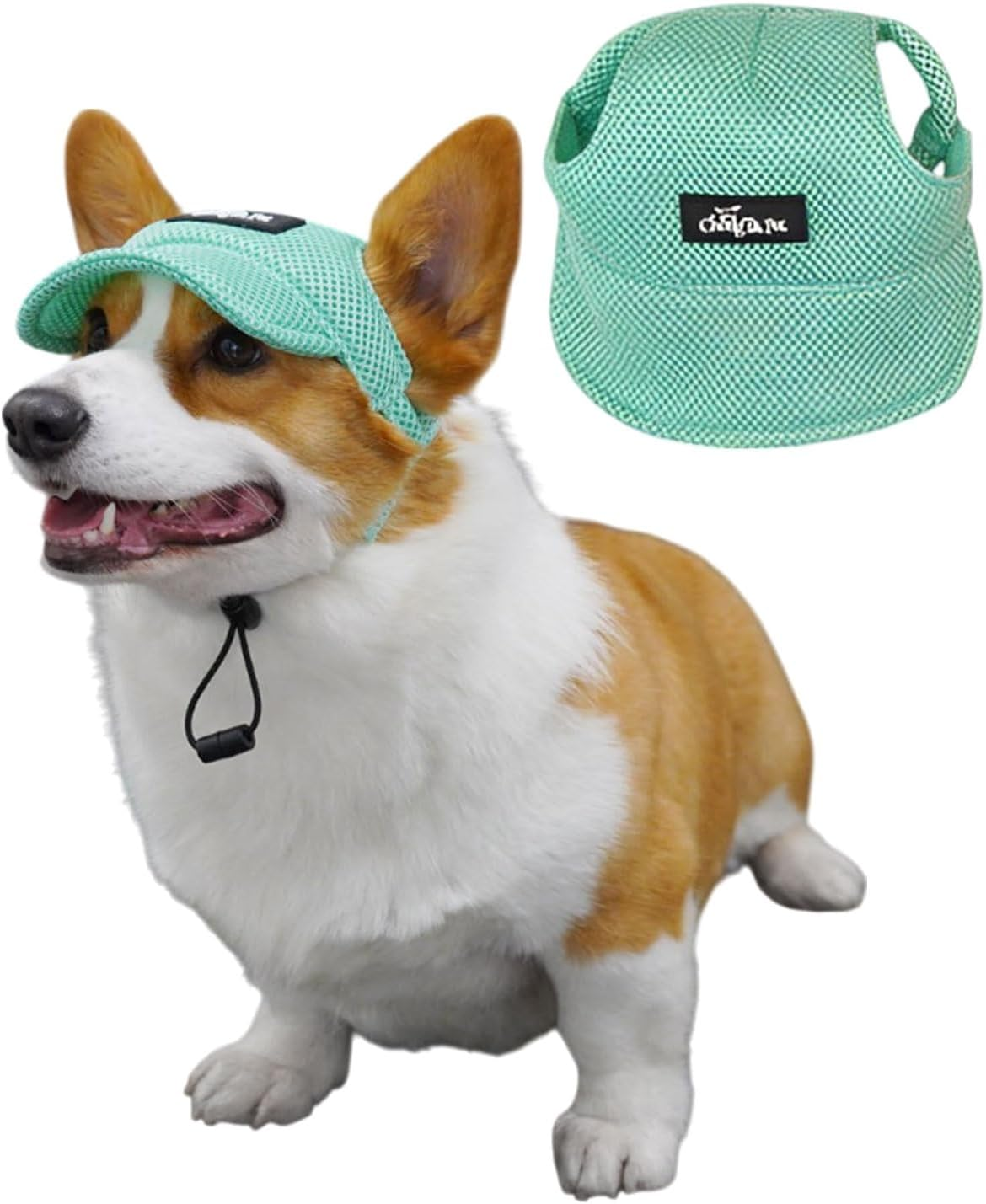 BPTRKOM 1 Piece Dog Baseball Cap with Adjustable Sun Protection - Baseball Cap with Special Ear Holes for All Dog Sizes - Breathable UV Protection Design (Size : M, Color : Green) image number 2