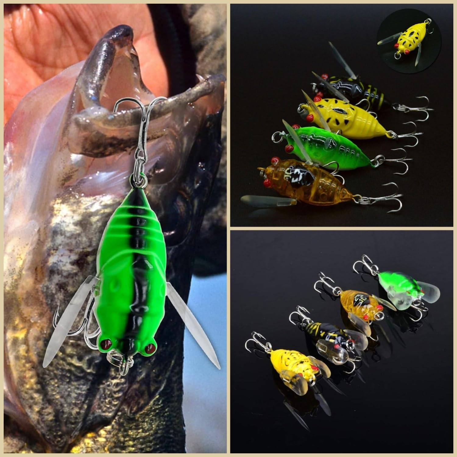 Taicols Cicada Fishing Lure, 5 Fishing Cicada Bait, Lifelike 3D Holographic Eyes Freshwater Bait, Sturdy Fishing Topwater Lure Artificial Fishing Bait, Fly Fishing Lures,For Fishing Enthusiasts image number 3