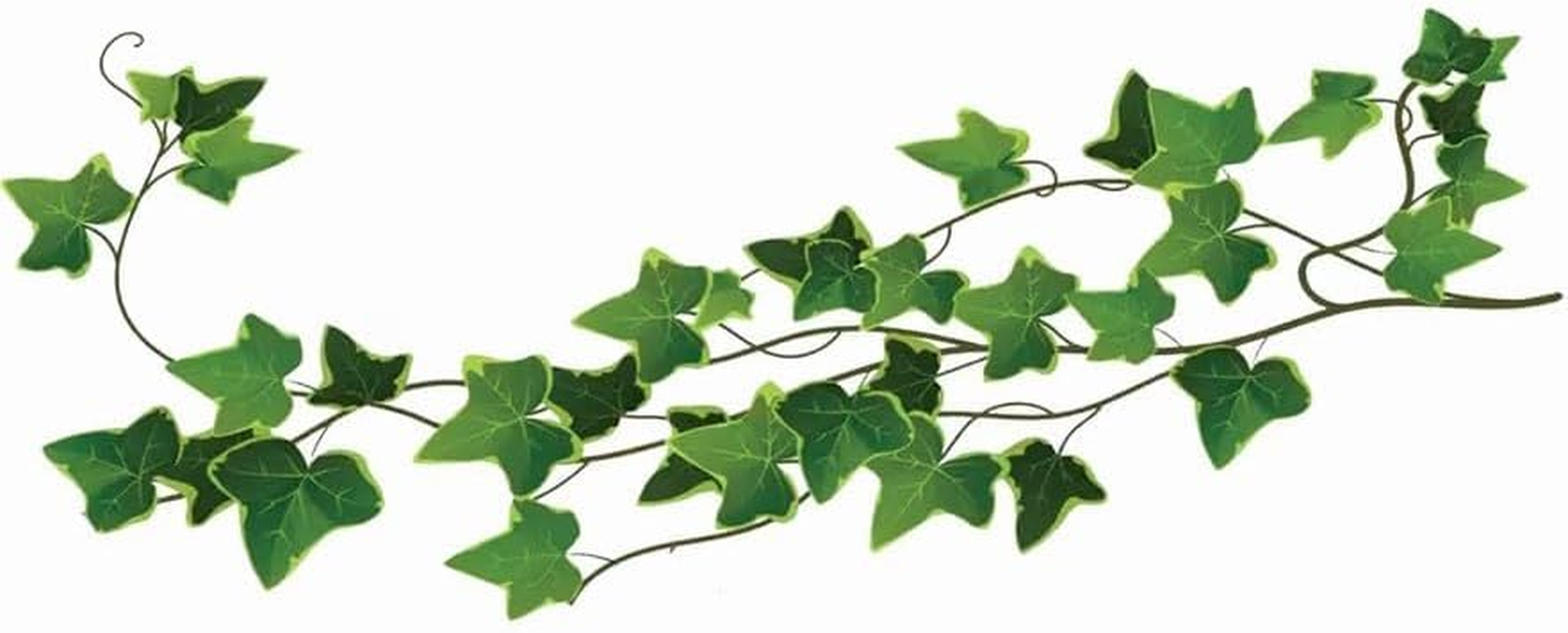 Large Ivy Leaf Vine Temporary Tattoos &ndash; 12 Sheets | Poison Ivy Costume Accessory | Waterproof & Easy to Apply, Join Together image number 2