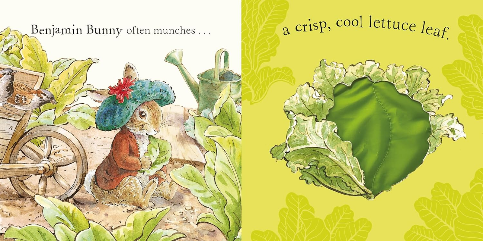 Peter Rabbit: Forest Feast: a Touch-And-Feel Book image number 3