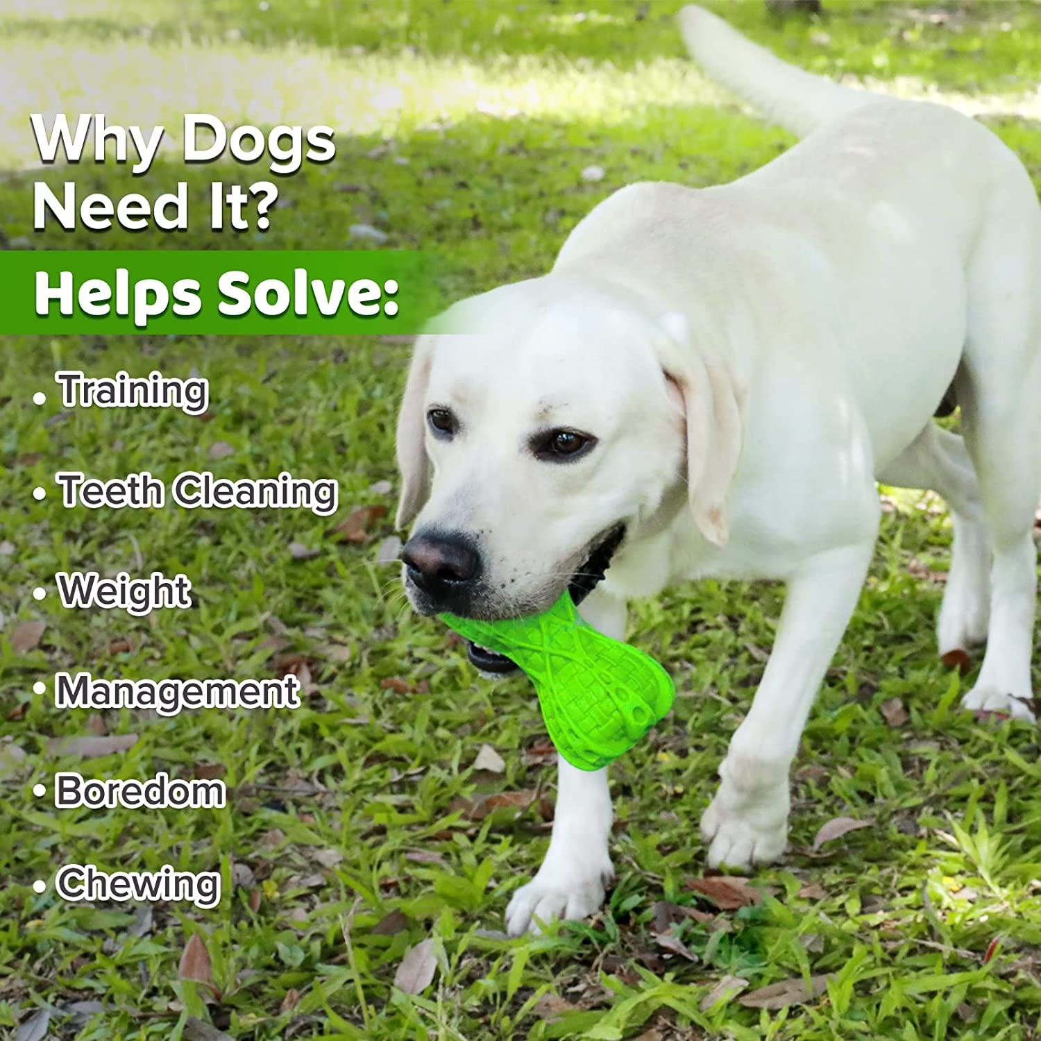 Dog Toy for Aggressive Chewer Large Medium Nearly Indestructible Super Chew Dog Toys Squeaky Dog Birthday Toy Dog Toothbrush Interactive Tough Durable Dog Toys Natural Rubber image number 6