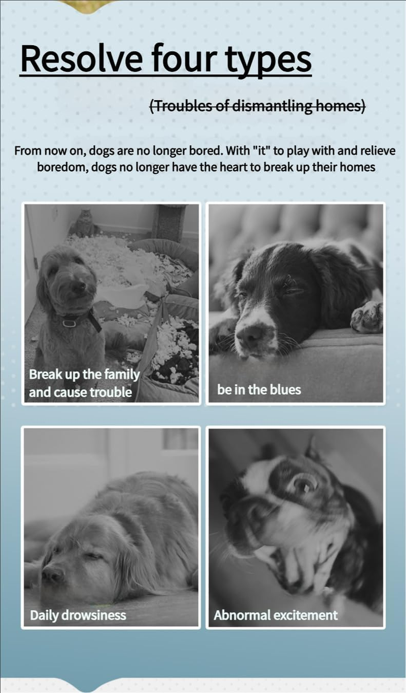 Ultimate Fun with Interactive Dog Balls - Perfect Toys for All Dogs! image number 4