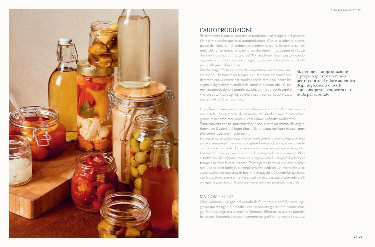 Non Lo Compro Pi&ugrave;. Dalla Dispensa Ai Prodotti per La Casa, L'Arte Dell'Autoproduzione image number 1