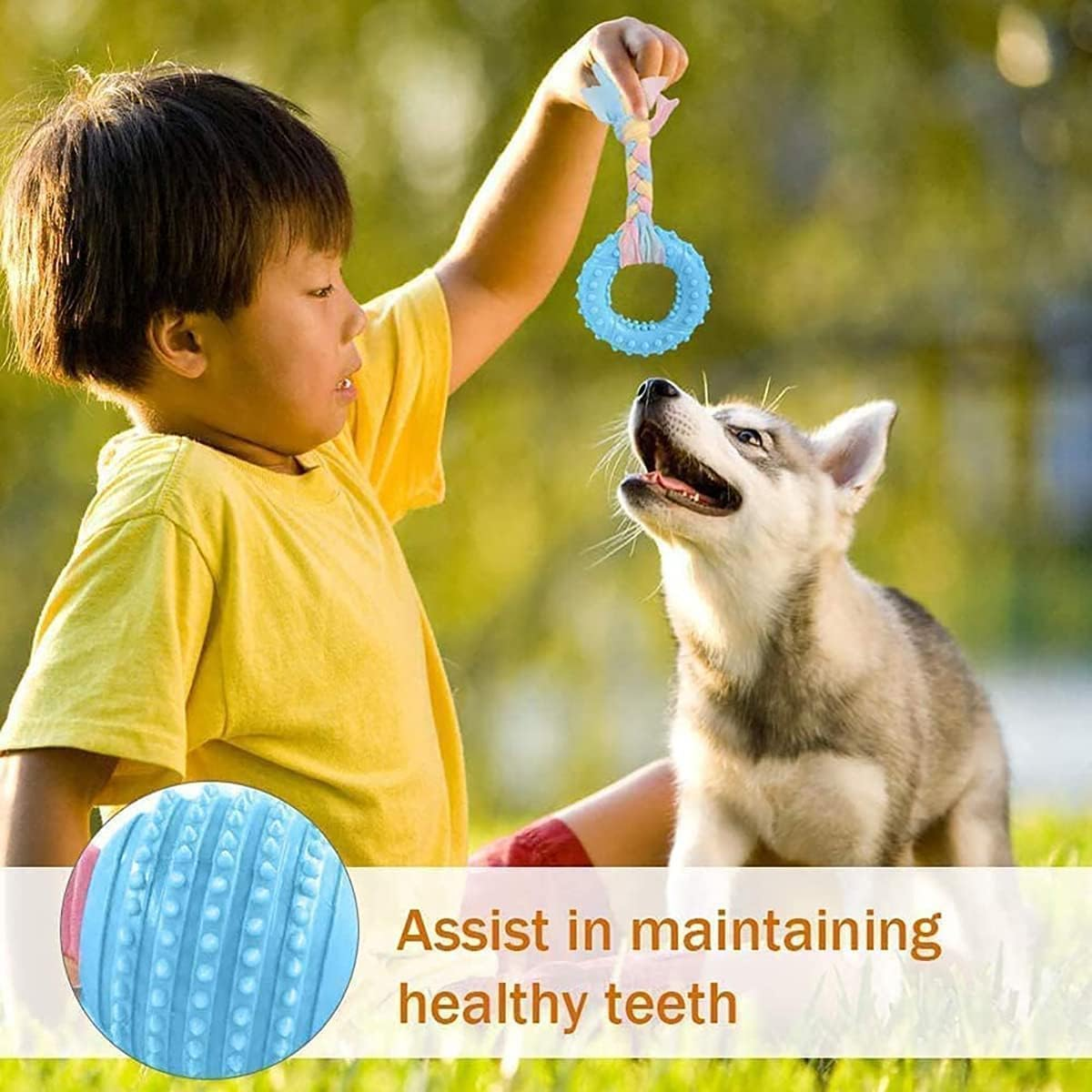 Puppy Teething Chew Toys for Small Dog Toys, Puppy Teething Rings Rubber Interactive Chewers Relieve Itching Treat Ball Bone Clean Teeth Toy 4 Pack image number 5