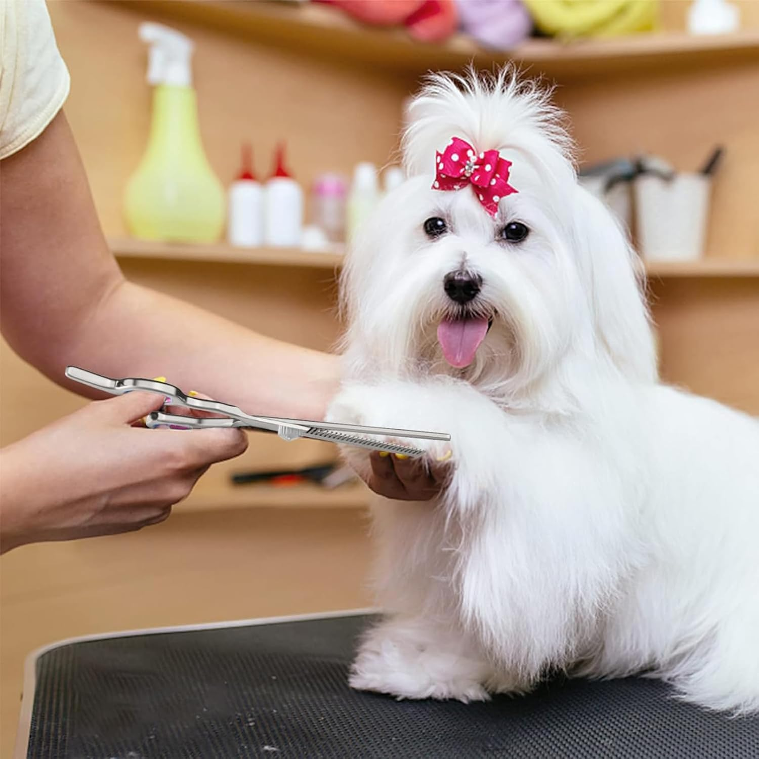 Professional 6 Inch Stainless Steel Pet Grooming Scissors for Dogs and Cats - Curved and Paw Scissors (B) image number 1