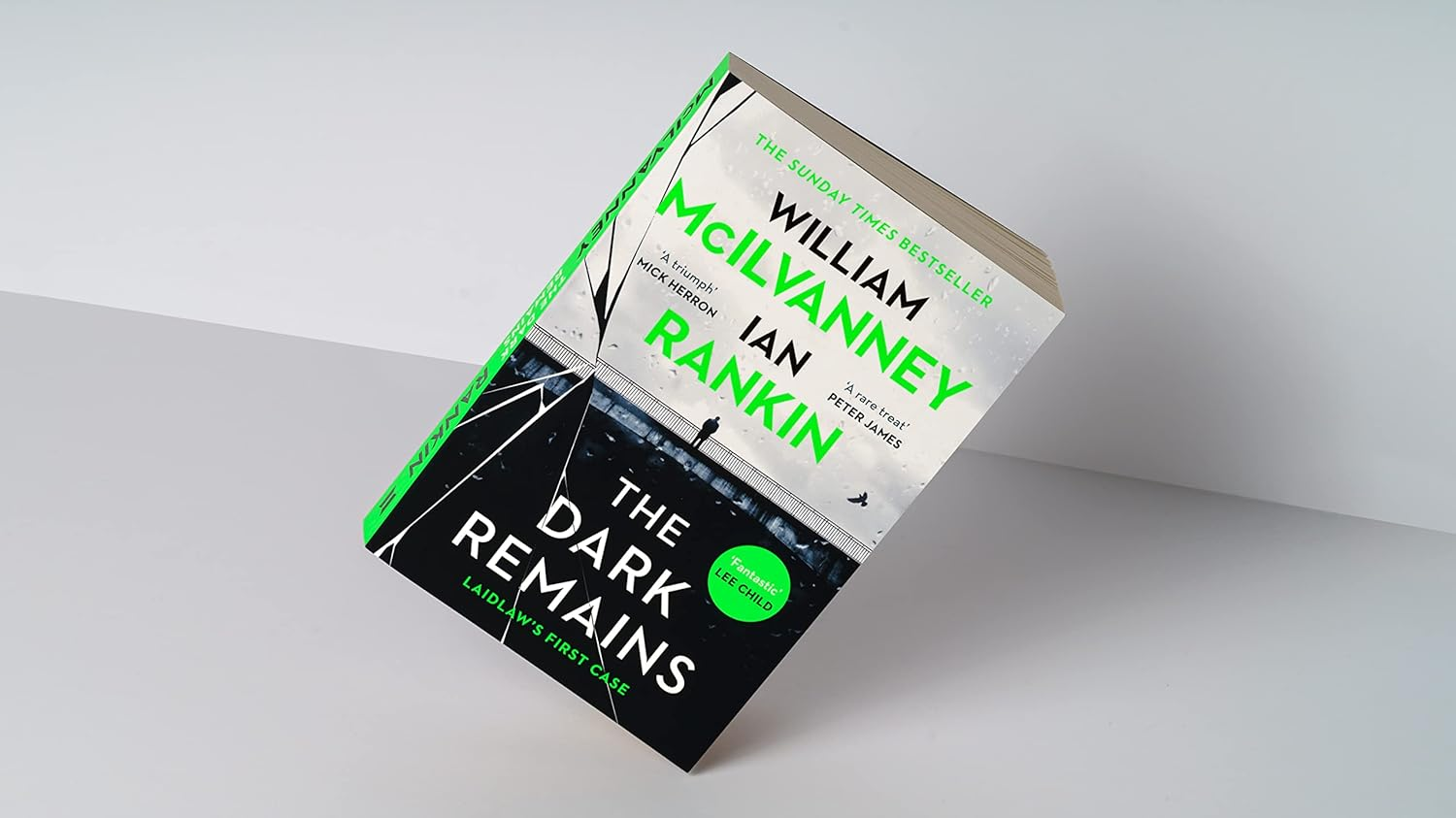 The Dark Remains image number 2