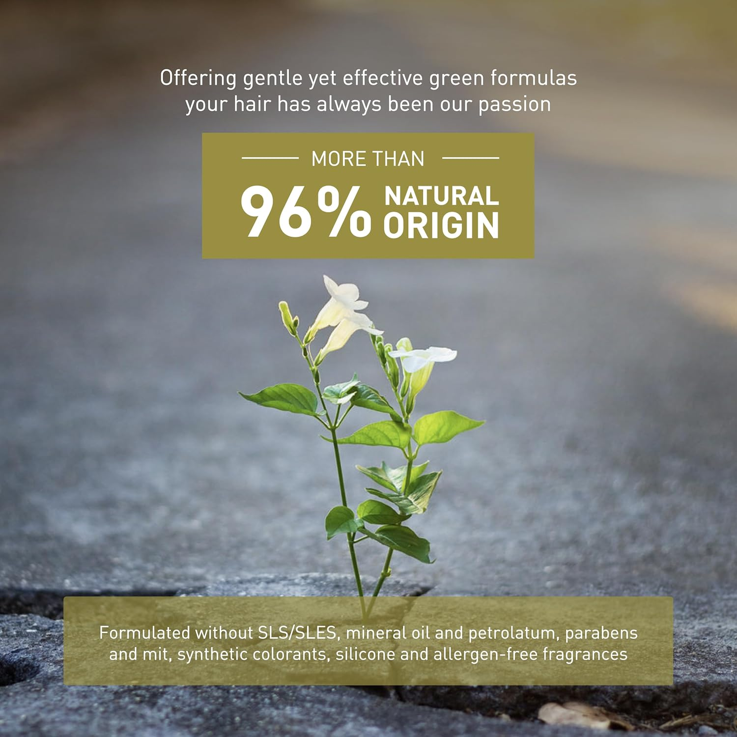 INSIGHT Anti-Frizz Hydrating Hair Mask - Hair Fiber Repair Treatment 500 Ml image number 4