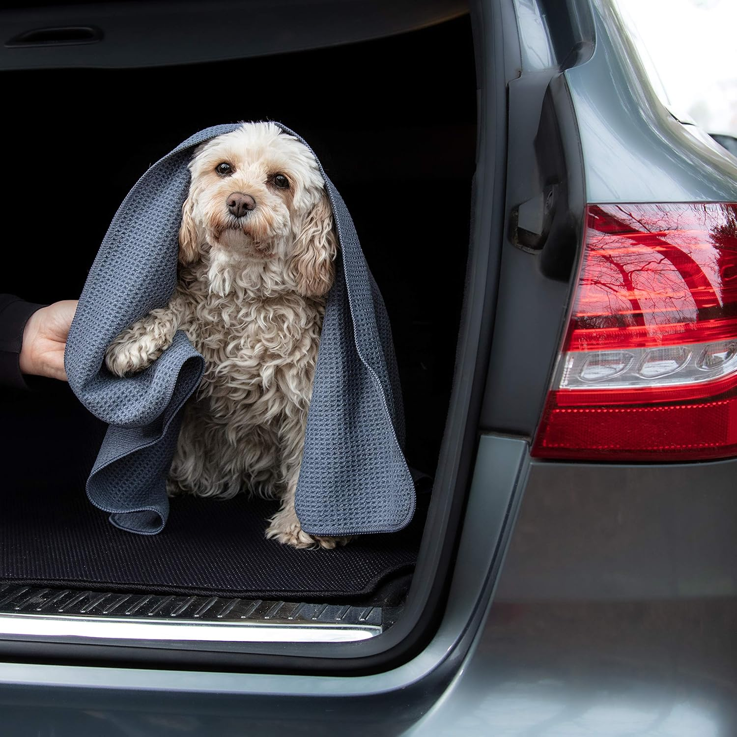 Glart Soft, Absorbent Dog Towel Pet Towel, Microfibre Dog Bath Towel 80 X 55 Cm image number 3