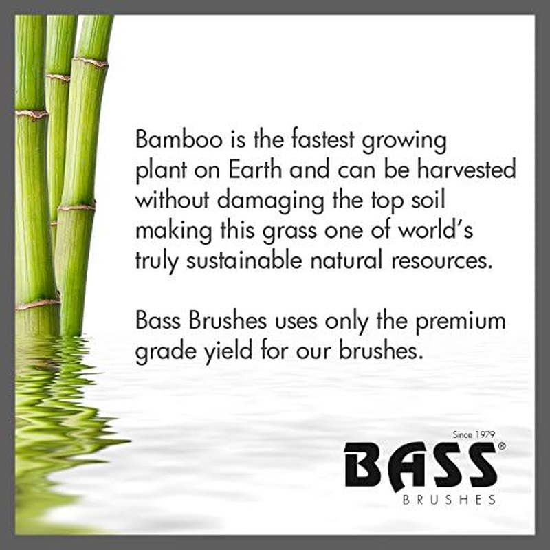 Brush - Classic Half round Style 100% Wild Boar Bristles Light Wood Handle Bass Brushes 1 Brush image number 4