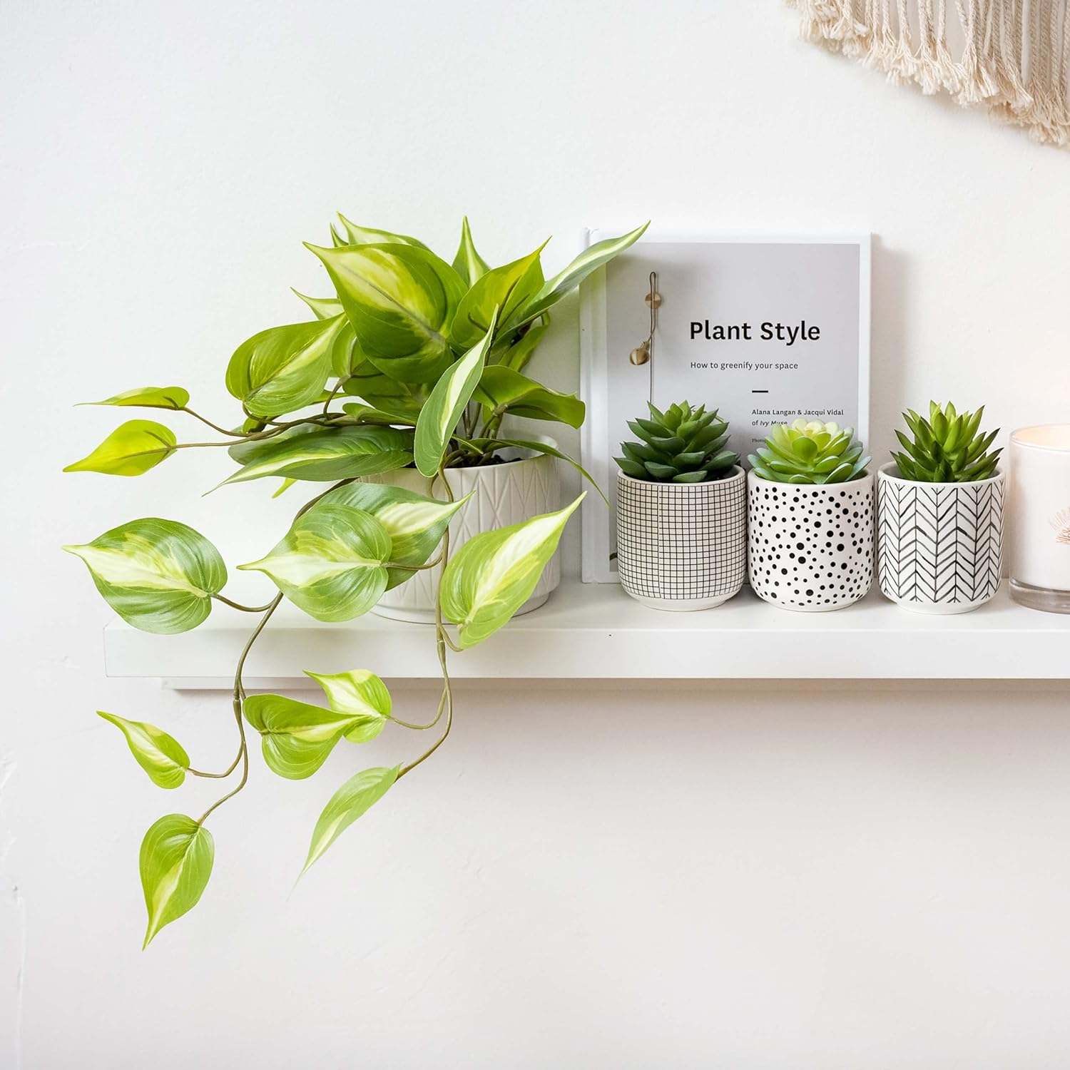 Kurrajong Farmhouse Artificial Trailing Ivy Plant with White Ceramic Pot | Light Green Faux Ivy Plant with White Pot | Stunning Fake Plant in 5" Wide White Matte Ceramic Pot image number 1
