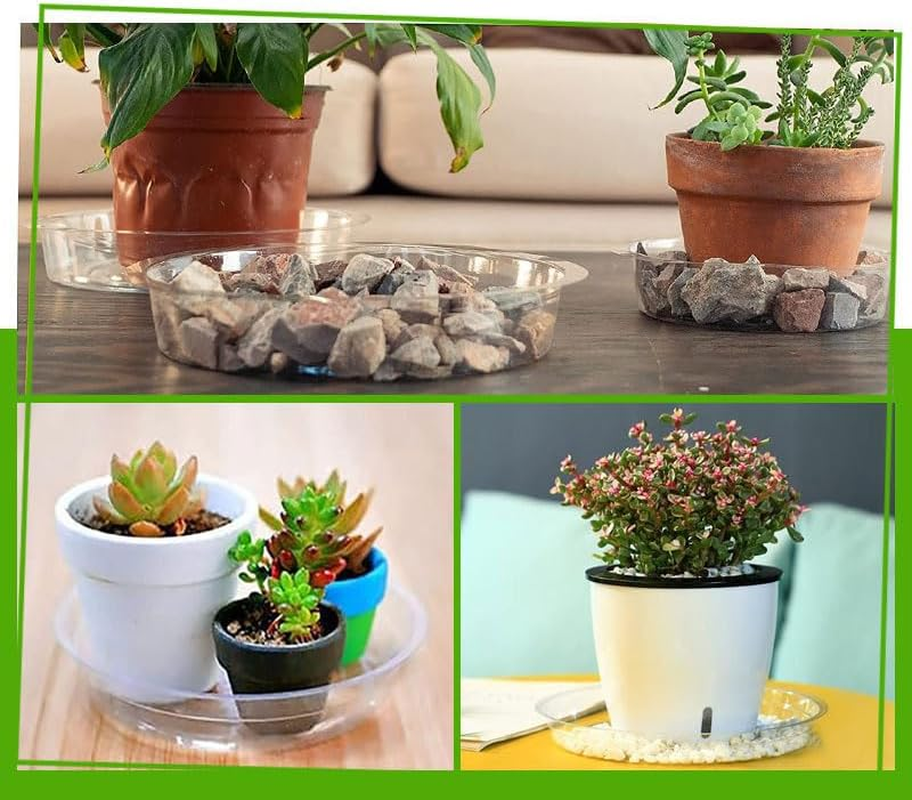 24 Pcs Clear Plastic Plant Pot Saucers, 6,8,10,12 Inch 4 Size Plant Saucers Flower Pot Tray No Holes Water Catcher Trays Suitable for Indoor and Outdoor Garden Container Planters. image number 2