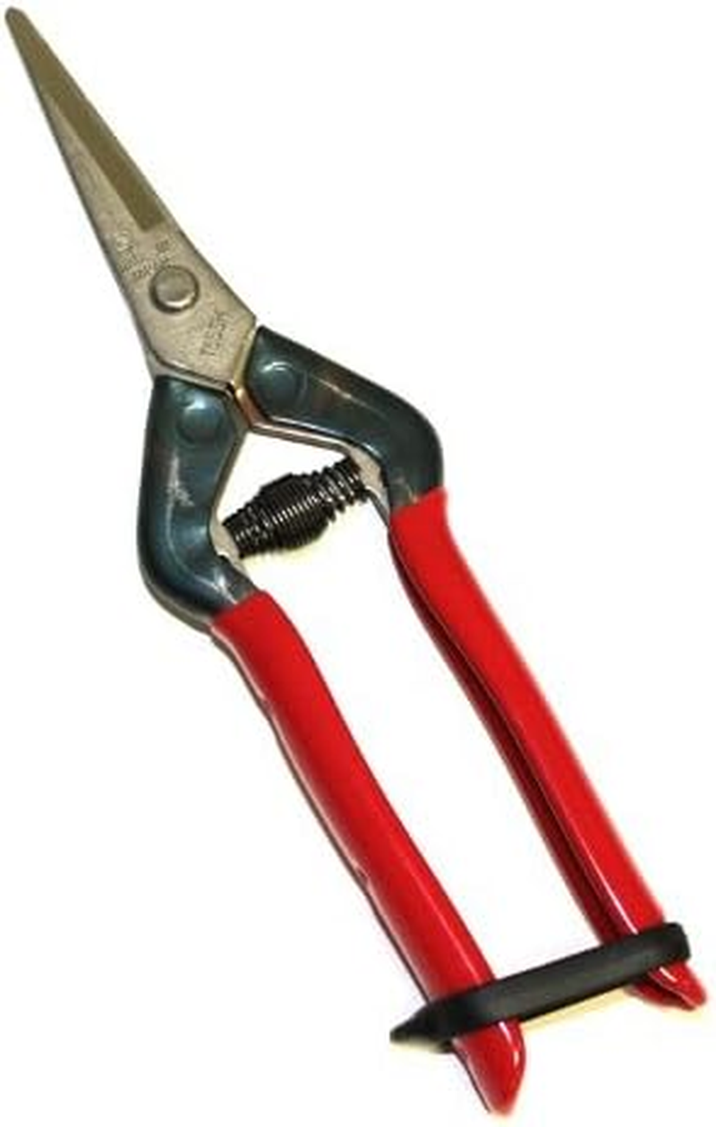 Chikamasa T-55SH Stainless Steel Bud Cutting Shears for Professional Gardening