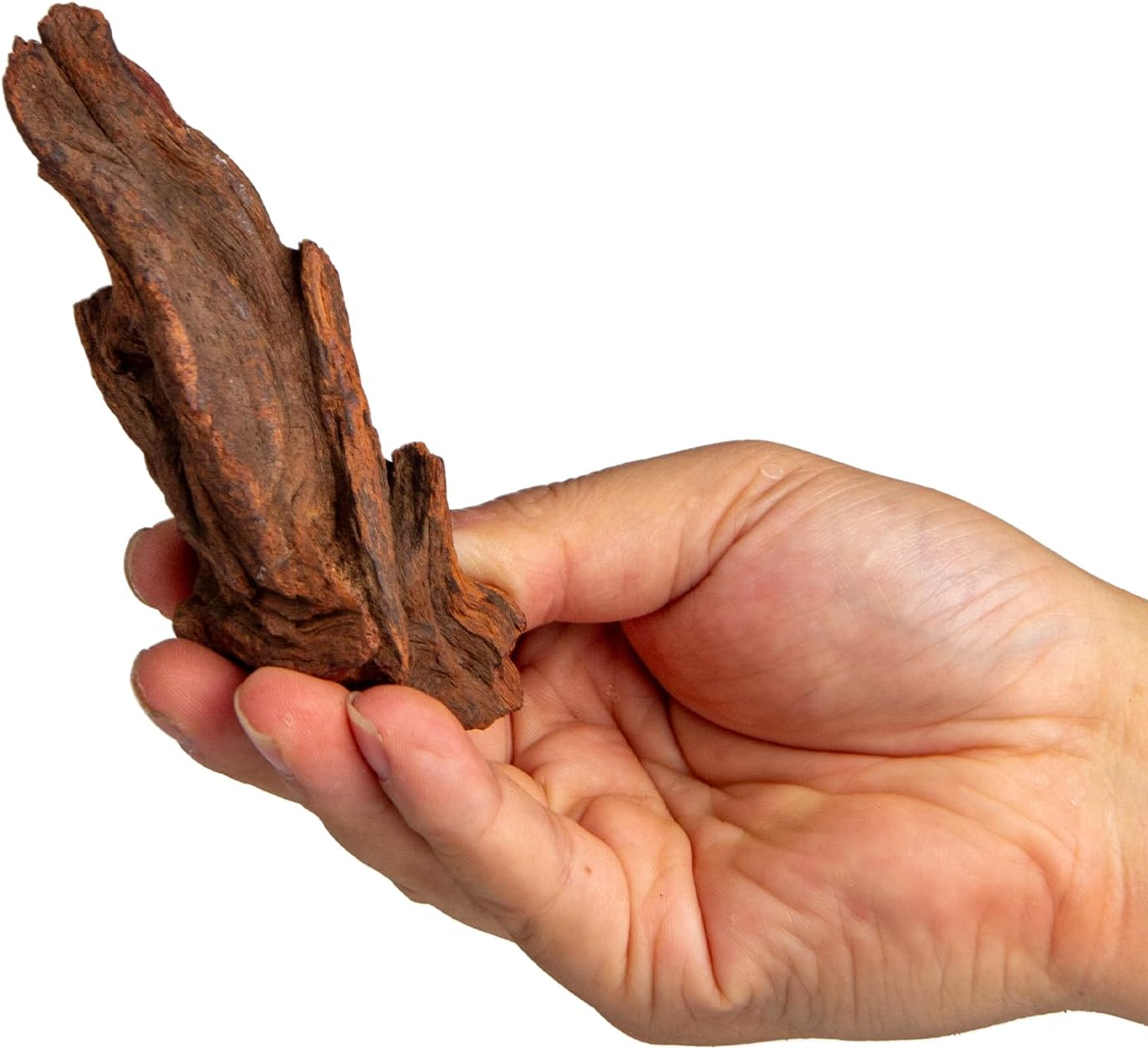 Emours Small Aquarium Driftwood, 2&ndash;6", Natural Twisted Branches, Low-Tannin, Great for Shrimp/Betta & Nano Aquascapes, Also for Reptile Terrariums (5) image number 4