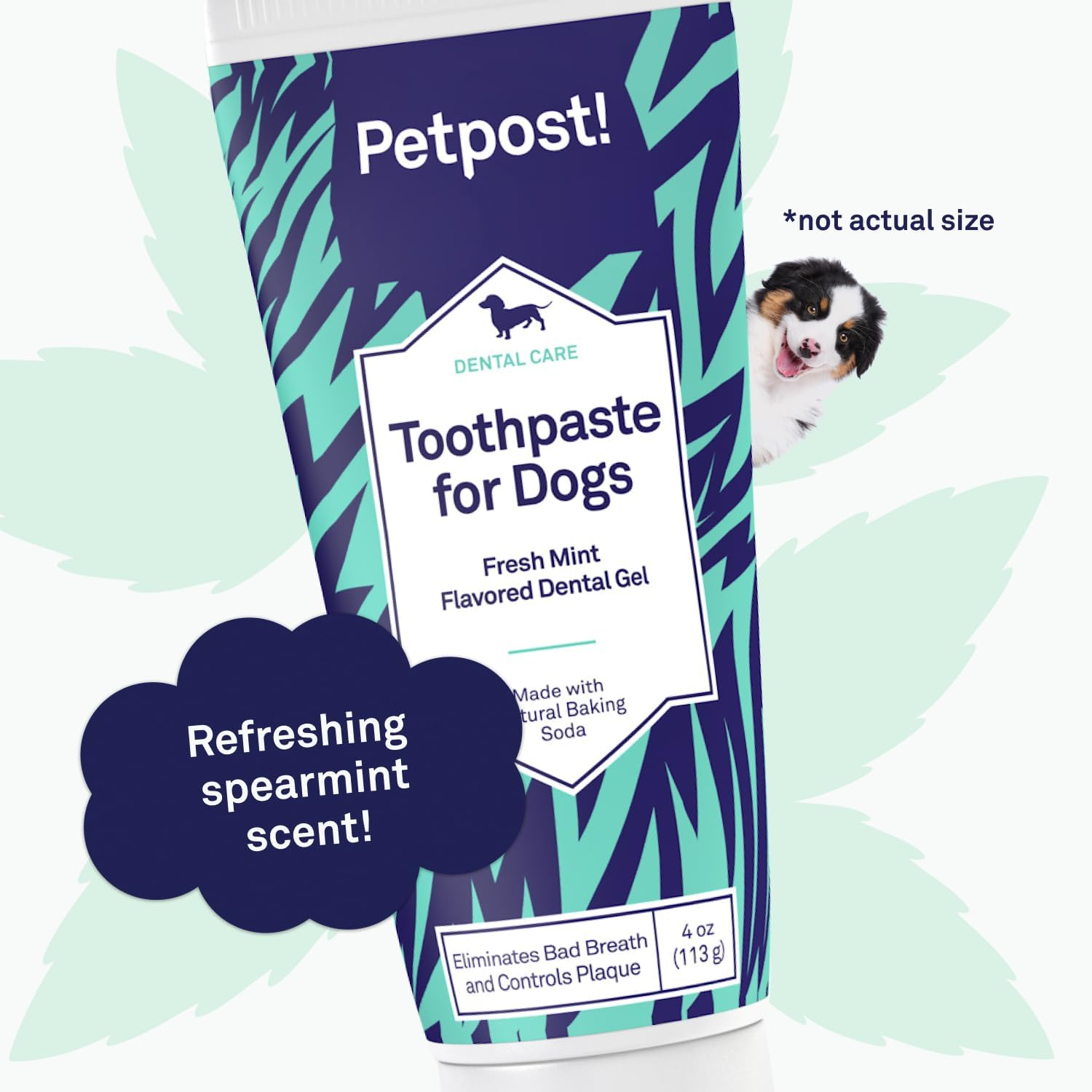 Petpost | Toothpaste for Dogs - Coconut Oil and Baking Soda Based Dental Gel That Naturally Eliminates Bad Breath - Dirt, Gunk, and Tooth Buildup Gone - Mint Flavor 113 G image number 3