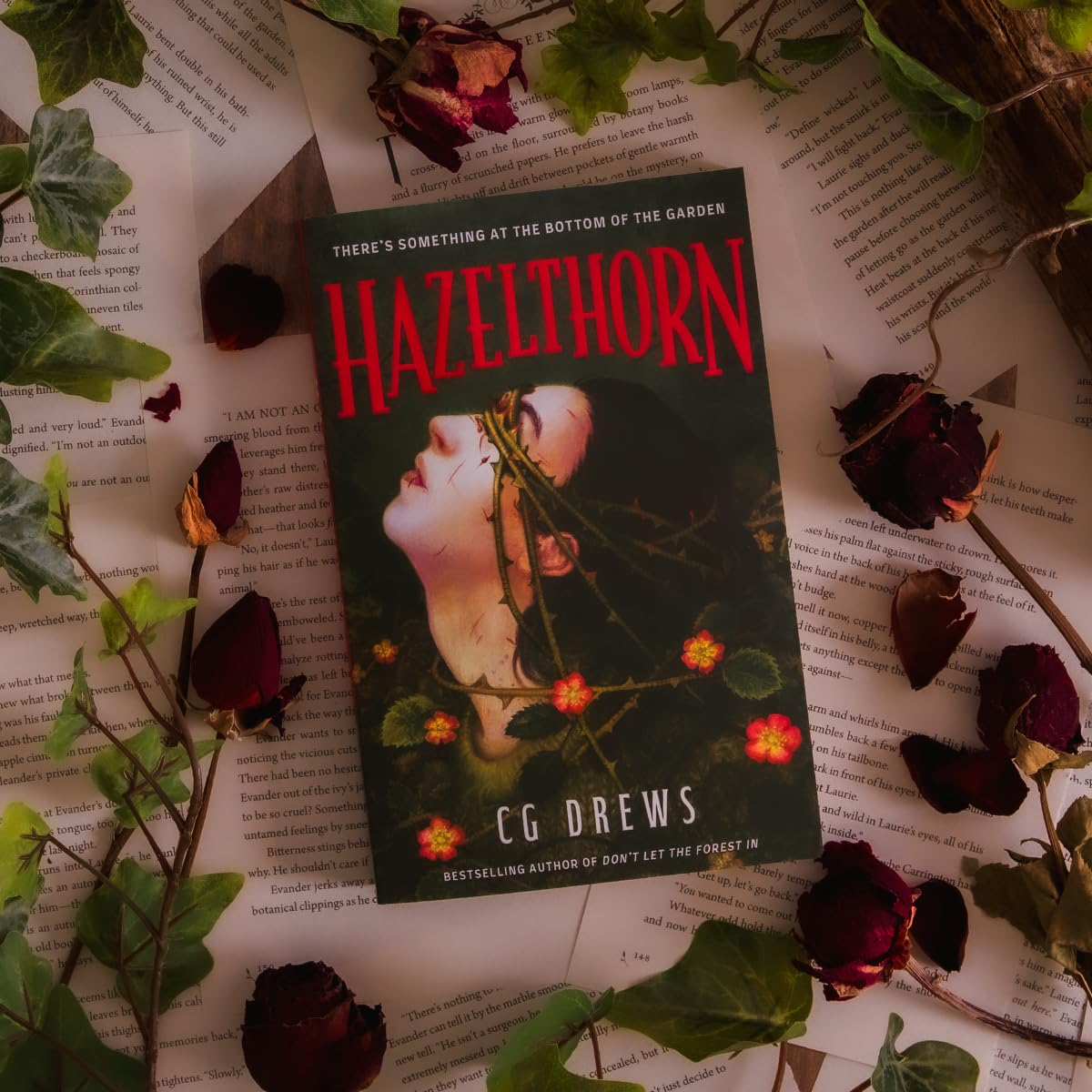 Hazelthorn: Gorgeously Gothic Horror and Queer Dark Romance from the NYT Bestselling Author of Don'T Let the Forest In image number 4