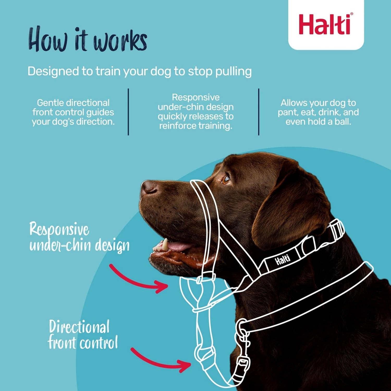 Halti Dog Training Headcollar, Red image number 5