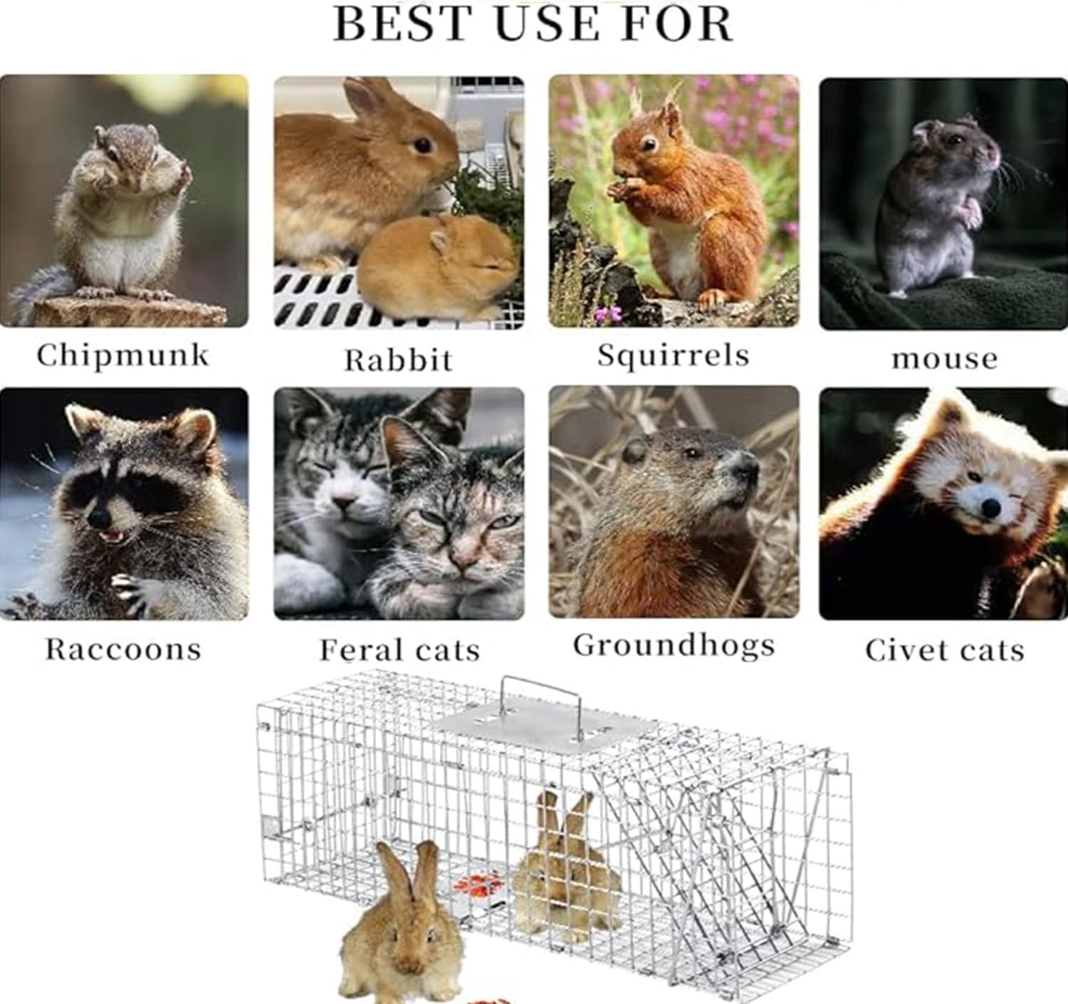 Live Animal Trap Humane Cat Trap Catch Forfor Catching Small Animals like Raccoons, Beavers, Groundhogs, Foxes, Armadillos, Cats, Rabbits, Skunks, Possums. Humane Catch - and - Release. image number 4