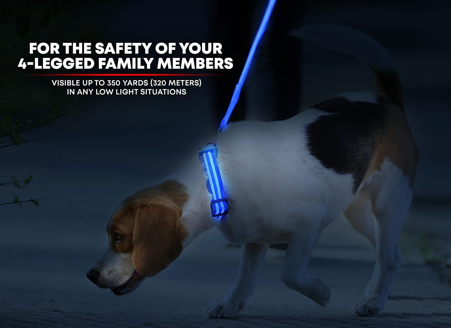 LED Dog Collar, USB Rechargeable, Your Dog Will Be More Visible & Safe, 6 Colours (Red, Blue, Green, Pink, Orange & Yellow) and 6 Sizes - Perfect to Use with Our Matching Illumiseen Leash (Royal Blue, X-Small (23 &ndash; 35Cm)) image number 4