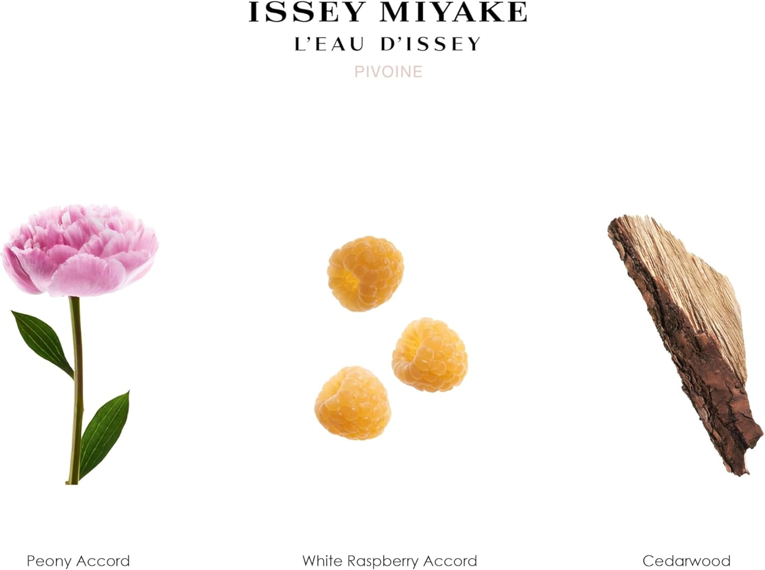 Leau Dissey Pivoine Intense by Issey Miyake for Women - 3.3 Oz EDT Spray image number 5