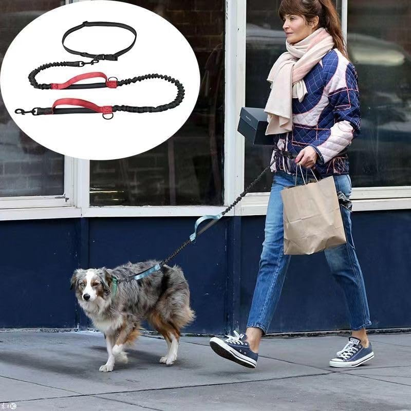 Hands Free Dog Leash, Retractable Dog Leash Running with Dual Bungees for Medium and Large Dogs, Adjustable Waist Belt Stitching Leash for Running Walking Hiking Jogging Biking (Orange) - Black image number 6