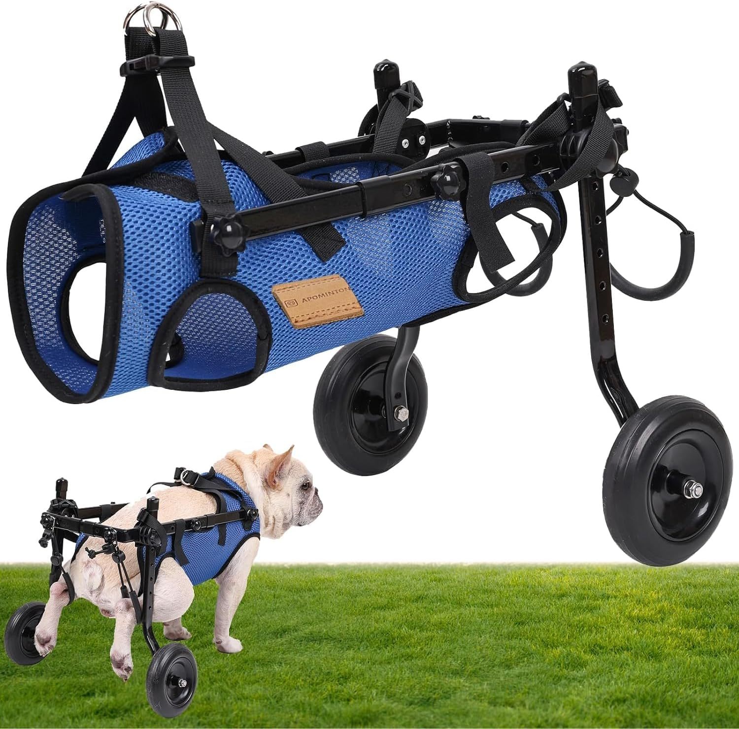 Adjustable Dog Wheelchair, Lightweight Dog Scooter for Back Legs, Max 11 Pound Dogs, Wheelchair for Paralyzed Injured Lame Disabled Handicapped Dogs - XS image number 2