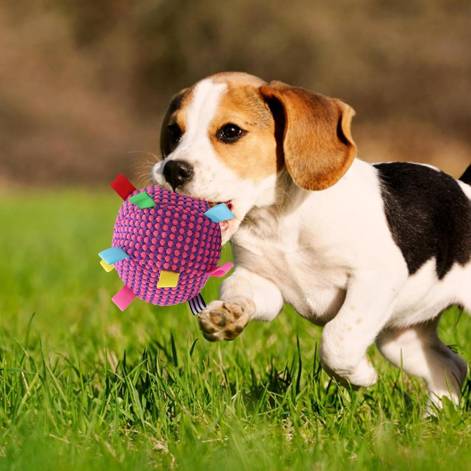 Dog Ball | Training Dog Toys Balls,Squeaky Pet Supplies Soft Game for Indoor Cats Chewing Home Training Playtime Kitten Puppy Outdoor image number 3