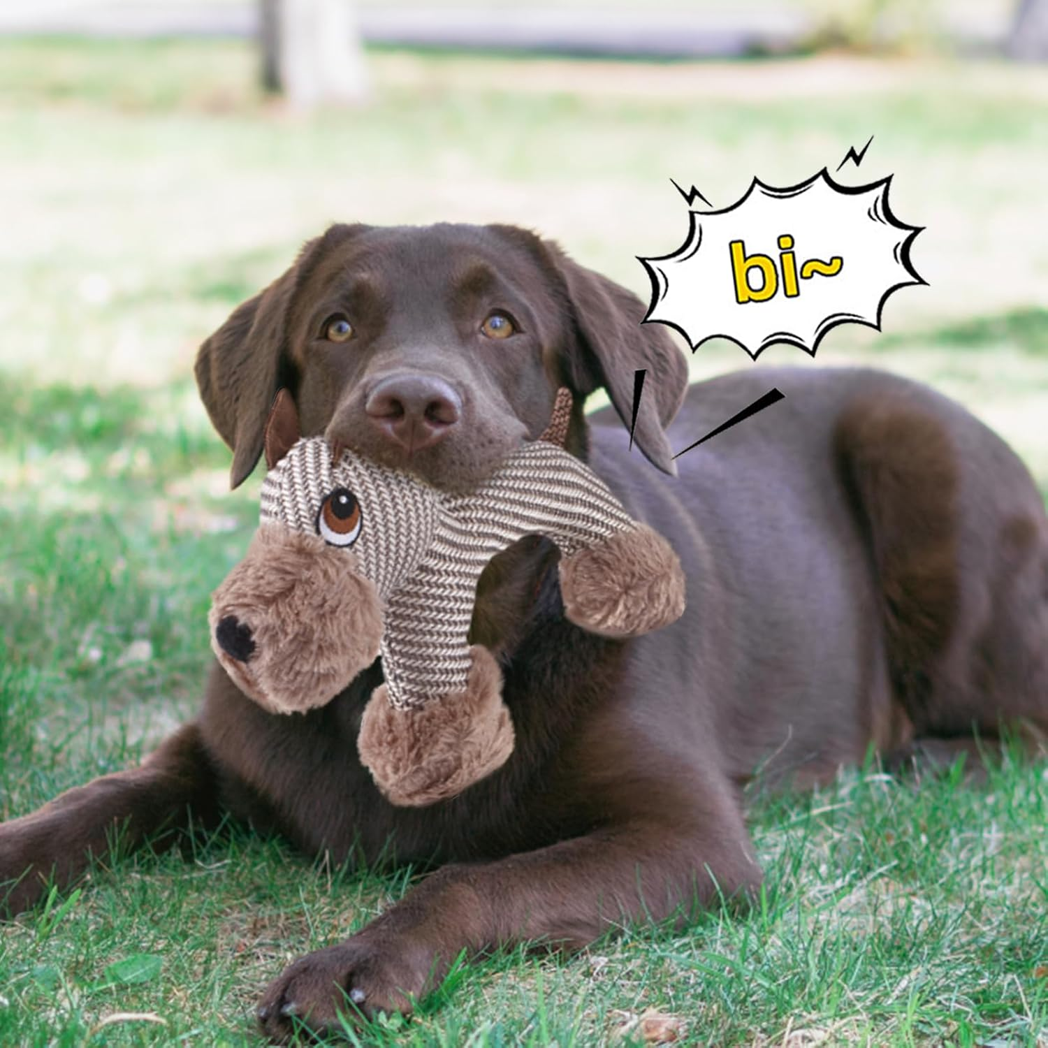 Dog Stuffed Animals Chew Toy, Self Play Pet Squeeze Toy, Interactive Dog Teeth Cleaning Toy for All Breed Dogs/203