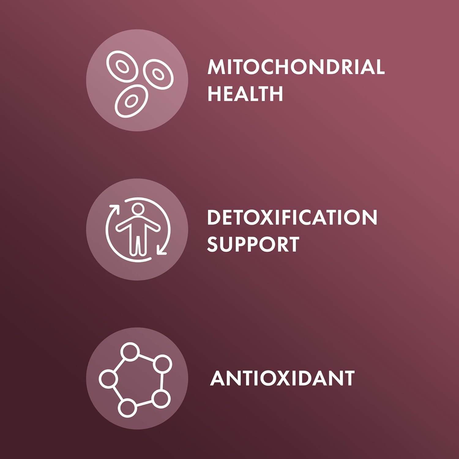 Dr. Mercola, Liver Support, 30 Servings (60 Capsules), Non GMO, Soy-Free, Gluten-Free, 60 Count (Pack of 1) image number 1