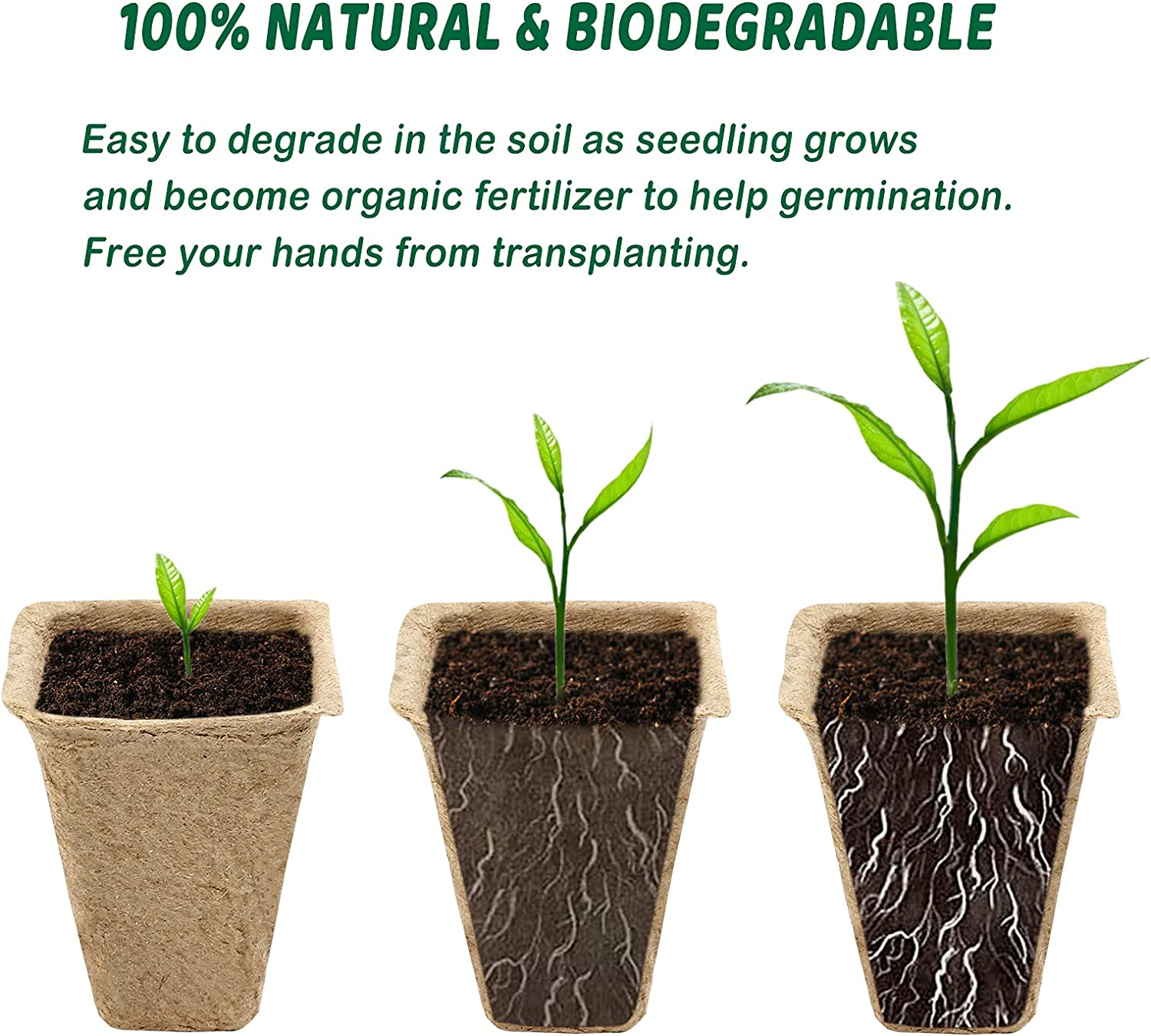 GWHOLE 144 Cell Seed Starter Tray Kit 12PCS X 12 Cell Seedling Trays Paper Peat Pots Organic Plant Peat Pots Germination Seedling Trays for Organic Vegetables, Greenhouse Plants, Seed Nursery image number 3