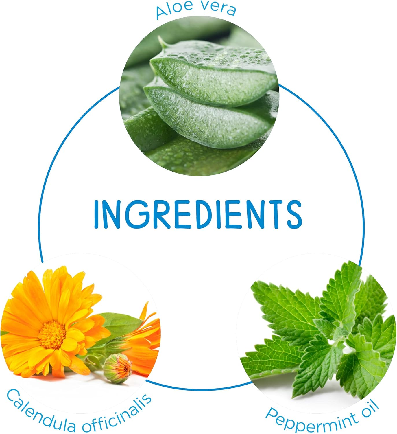 Dermal Therapy Little Bodies Eczema Relief Cream for Babies & Children, Relieves Mild Eczema & Dermatitis Symptoms, with Calendula Officinalis & Aloe Vera, Gentle Skin Care for Sensitive Skin | 56G