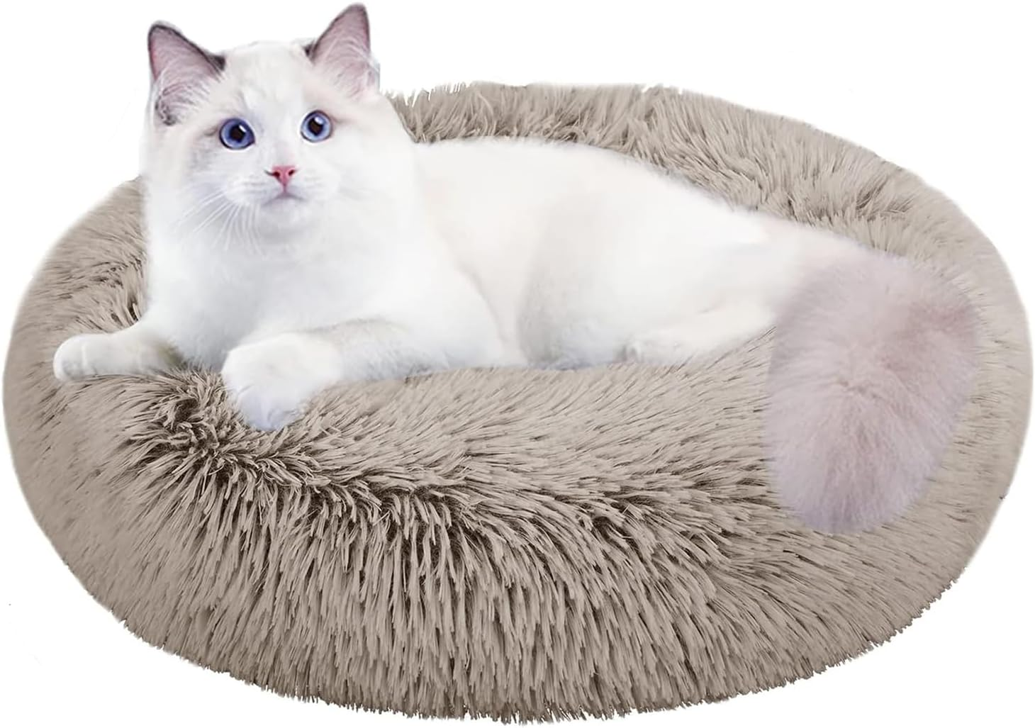 DESIGN for COZY SLEEP: This Pet Bed Is a Semi-Envelope Design, Creating a Safe and Warm Room for Medium-Sized Dogs Who like to Curl up and Stretch Out for a Restful Sleep. the Long-Pile Surface Is Sof