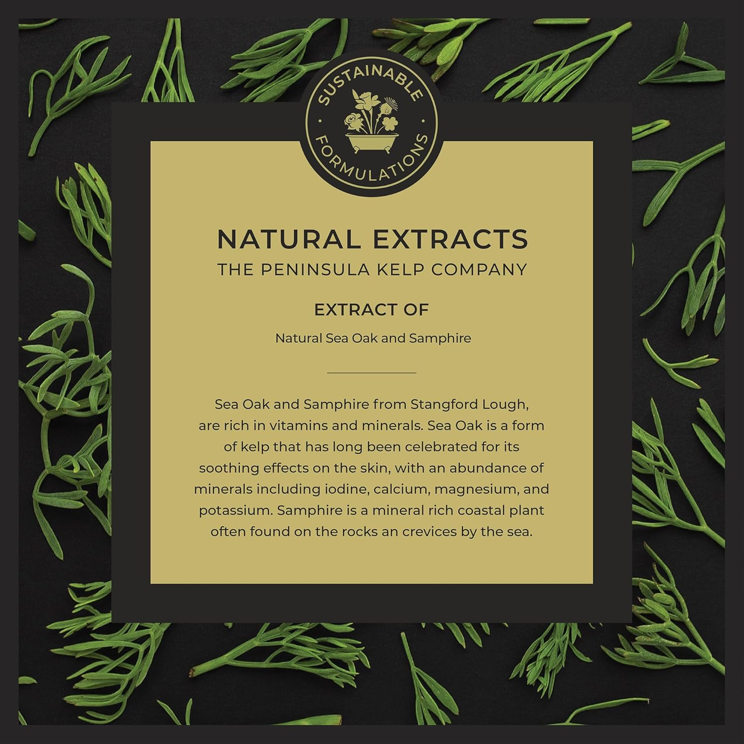 Noble Isle Wild Samphire Luxury Hand Wash 250Ml image number 6