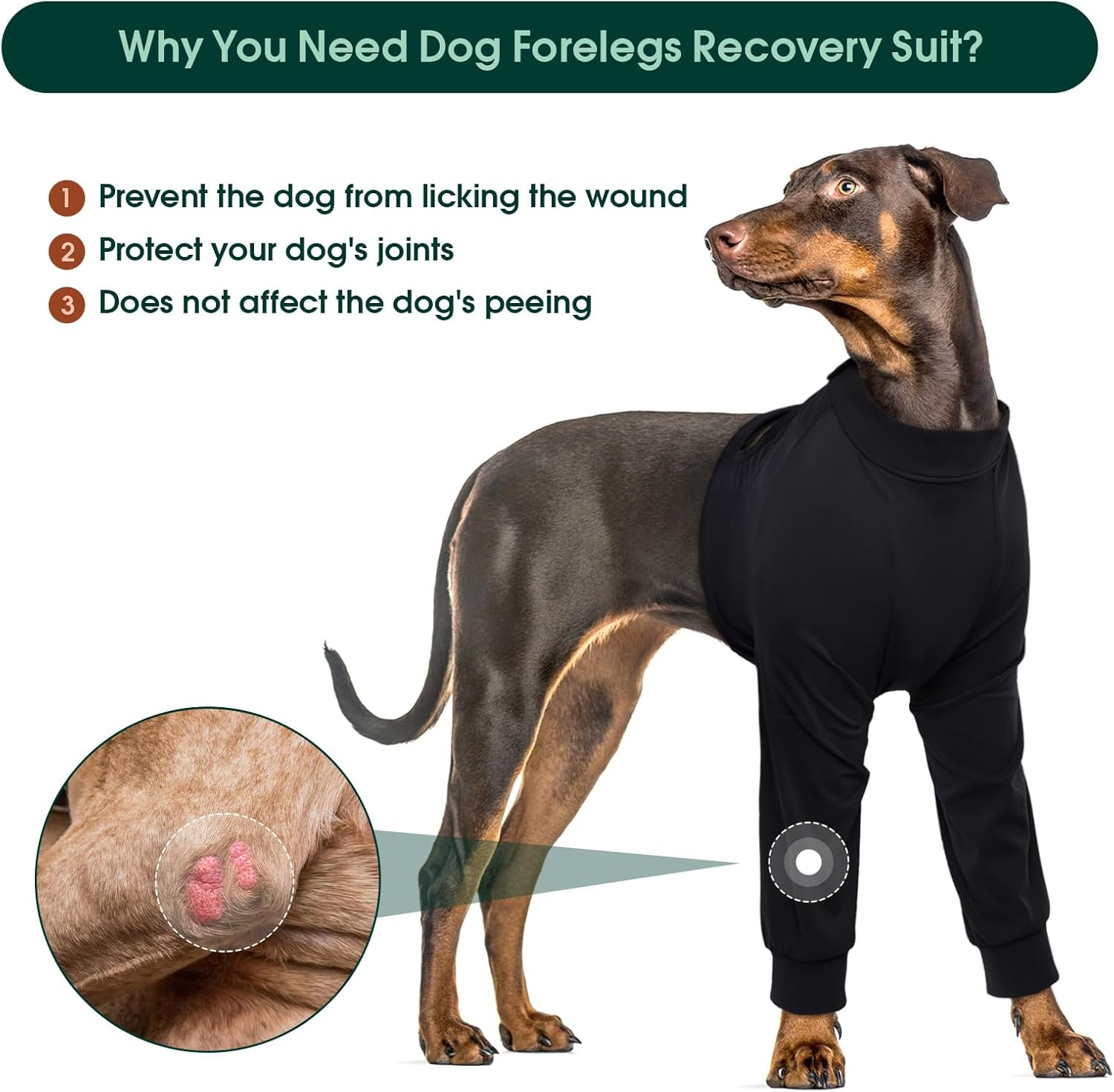 Kuoser Dog Bodysuit after Surgery image number 2