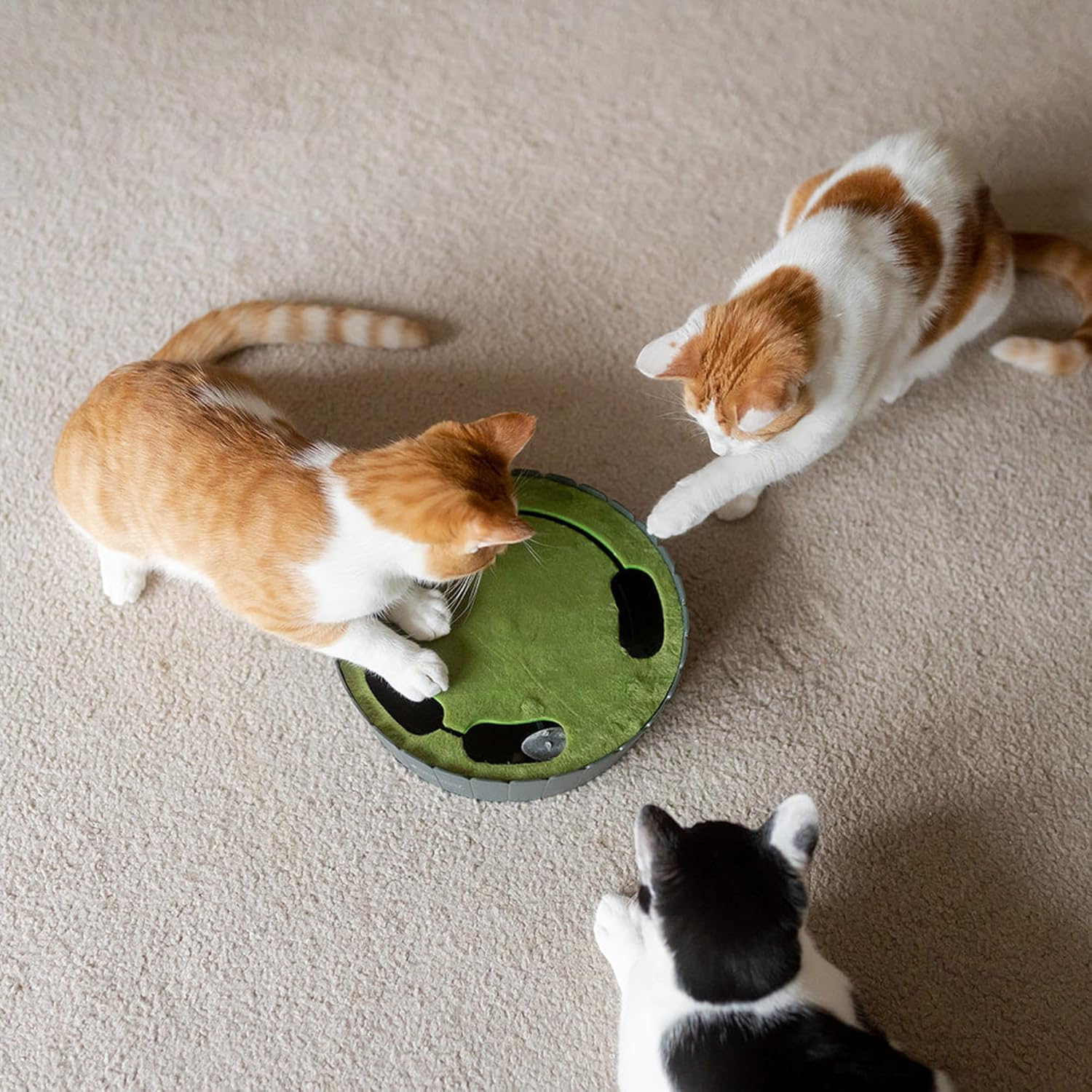 P.L.A.Y. Pet Lifestyle and You Peek-A-Boo Mouse Interactive Cat Toy image number 2