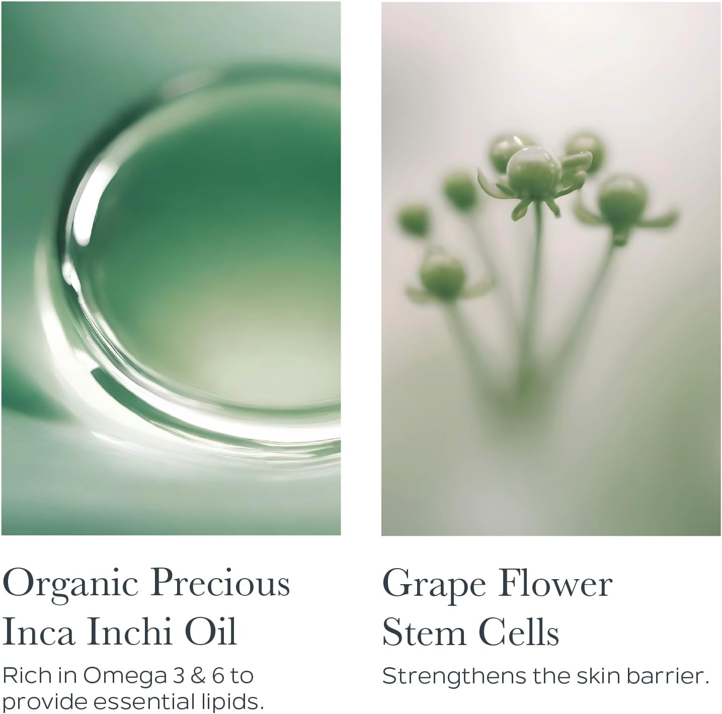 Sothys Nutritive Replenishing Ultra-Rich Cream 50Ml image number 3