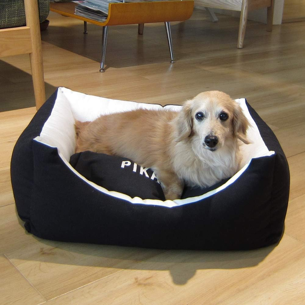 Fantasy World Cat Medium