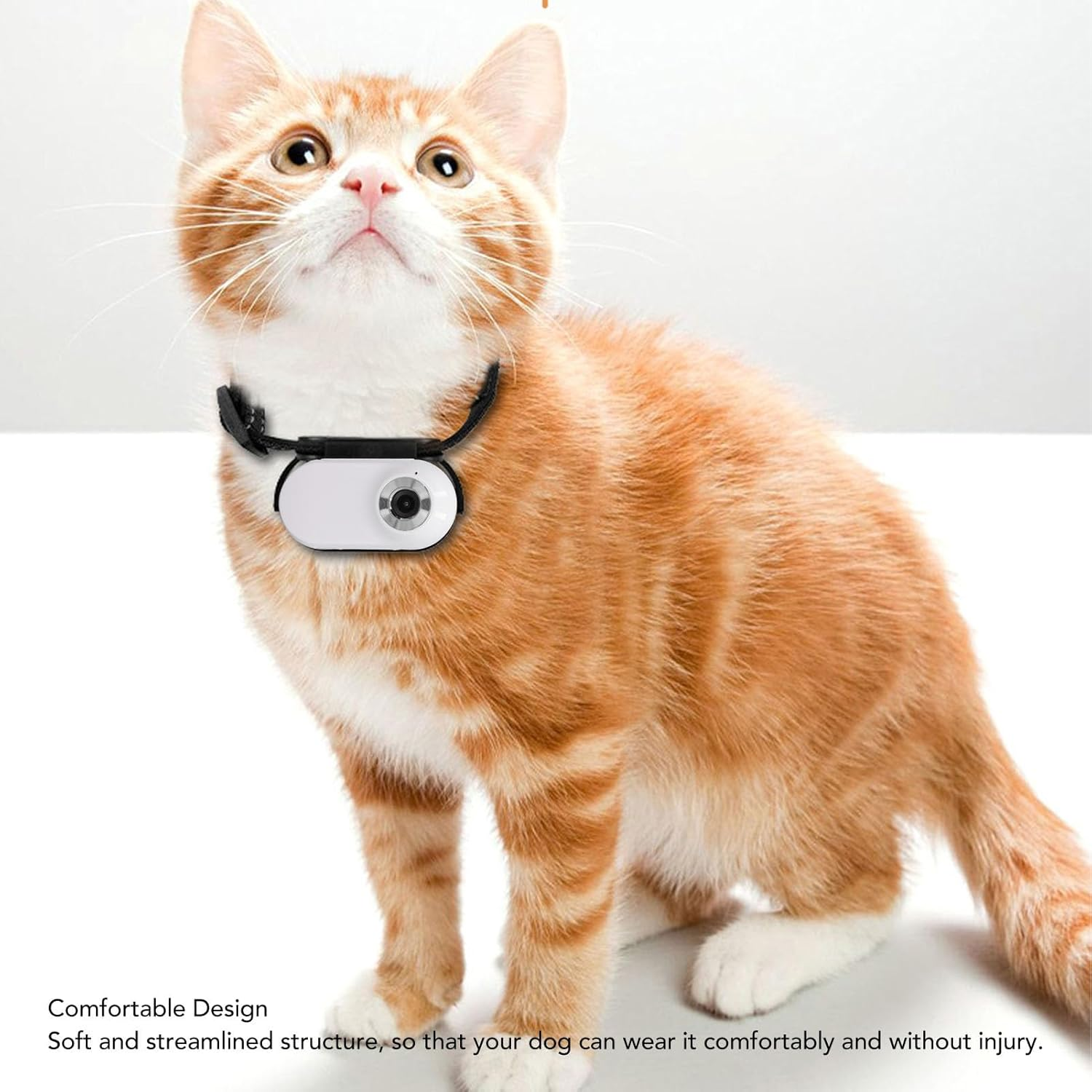 Pet Action Camera, High Definition Miniature Dog Collar Camera, Outdoor Camera with Video and Photo Function for Dog Cat, Easy to Use image number 4