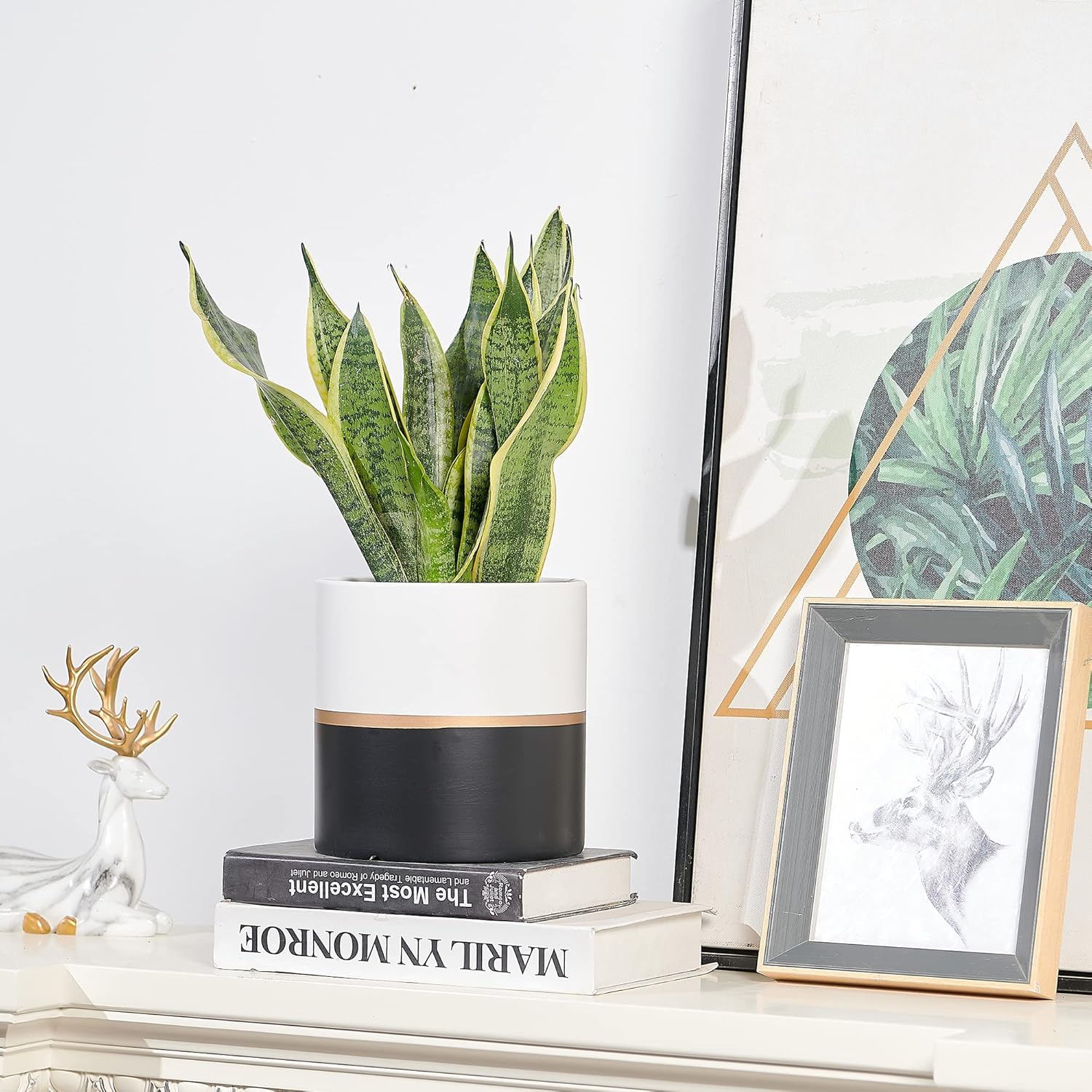 Planter Plant Pots Indoor - 6.7 Inch Modern Ceramic Flower Pot with Drainage Hole for Home Office Decoration (White Black)(Plant Not Included) image number 6