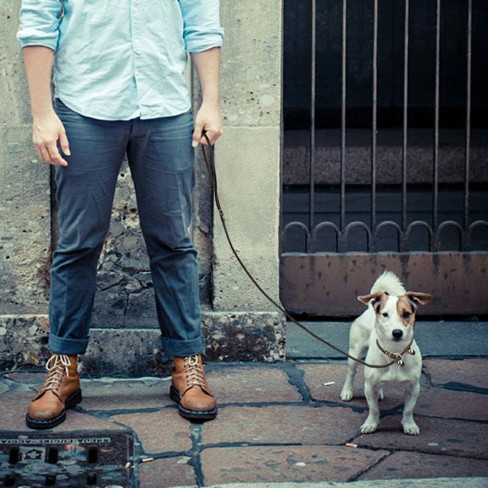 Wellbro Luxury Genuine Leather Slip Dog Leash Deluxe Slip Lead with Adjustable Collar Soft Touch and Exquisite Suit for Small Medium Puppies 160Cm Length by 0.6Cm Wide Brown - Basic Leash image number 6