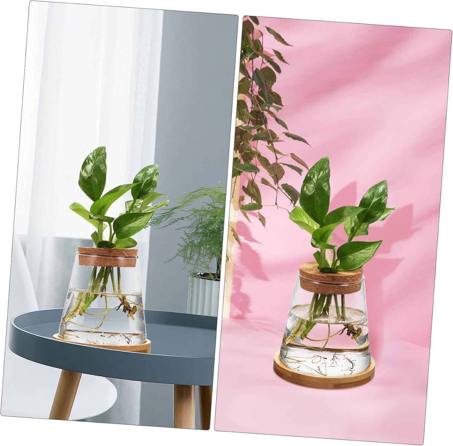 COHEALI 2Pcs Clear Glass Propagation Station with Base Transparent Water Planter Bottles for Hydroponic Plants Compact Vases for Indoor Desk Apartment Office Decoration image number 5